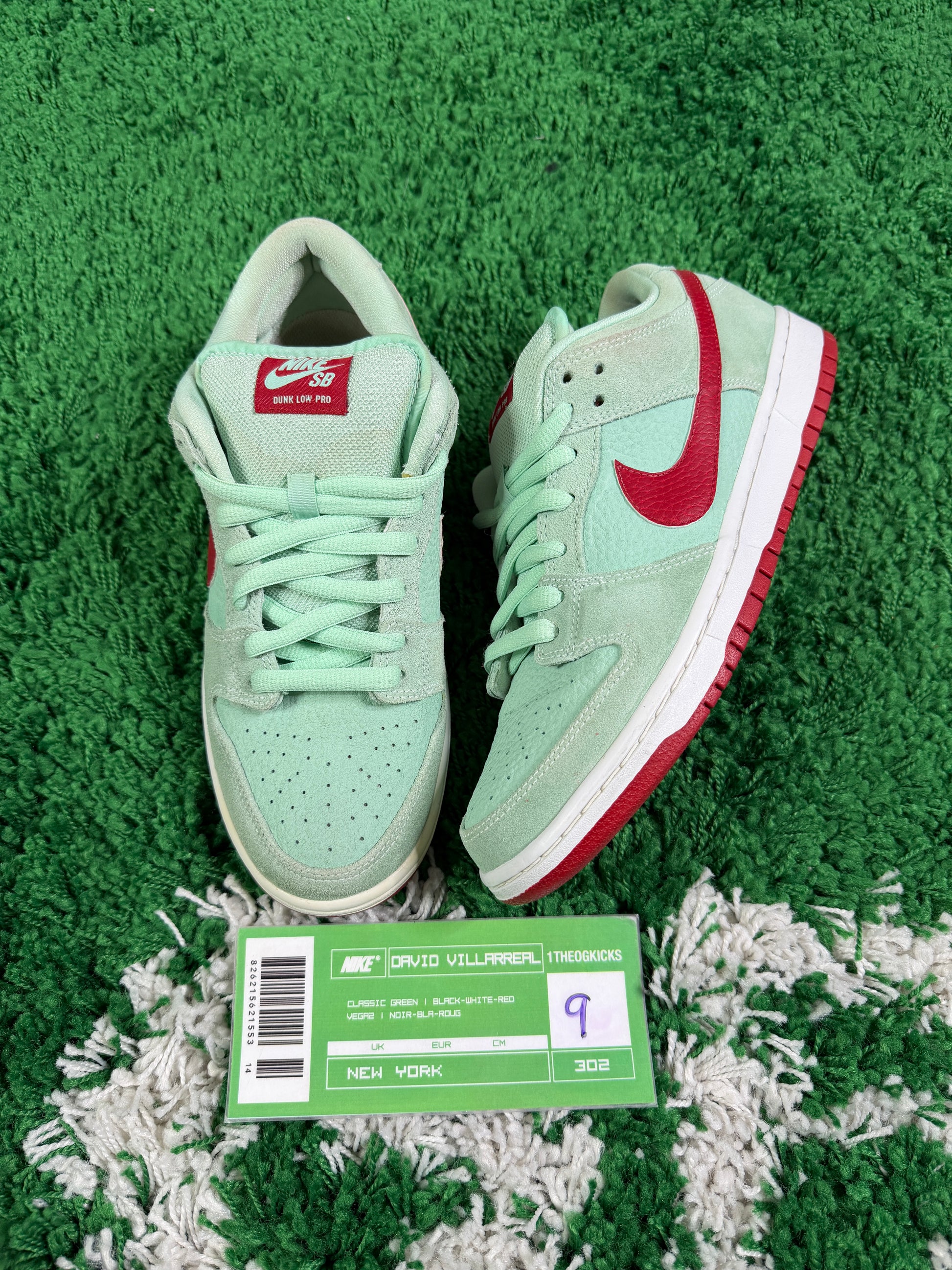 Nike Sb Green Mint Red - Size 9