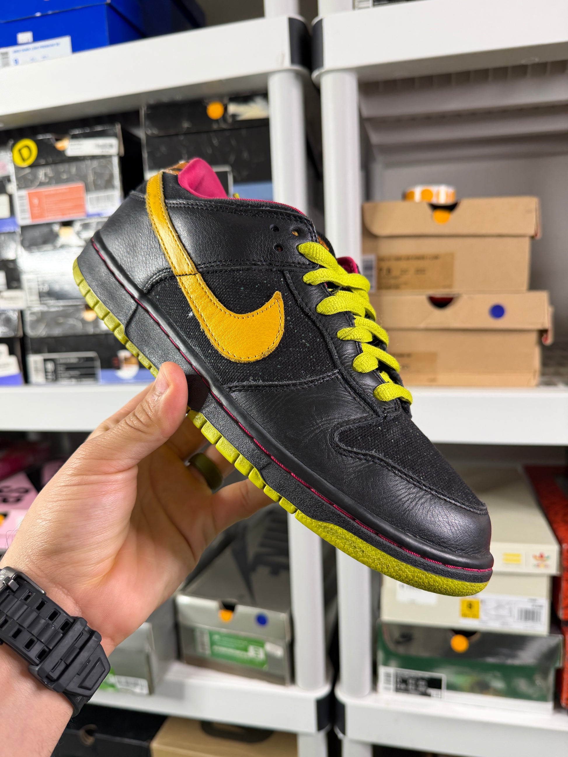 Nike Sb Space Tigers - Size 9