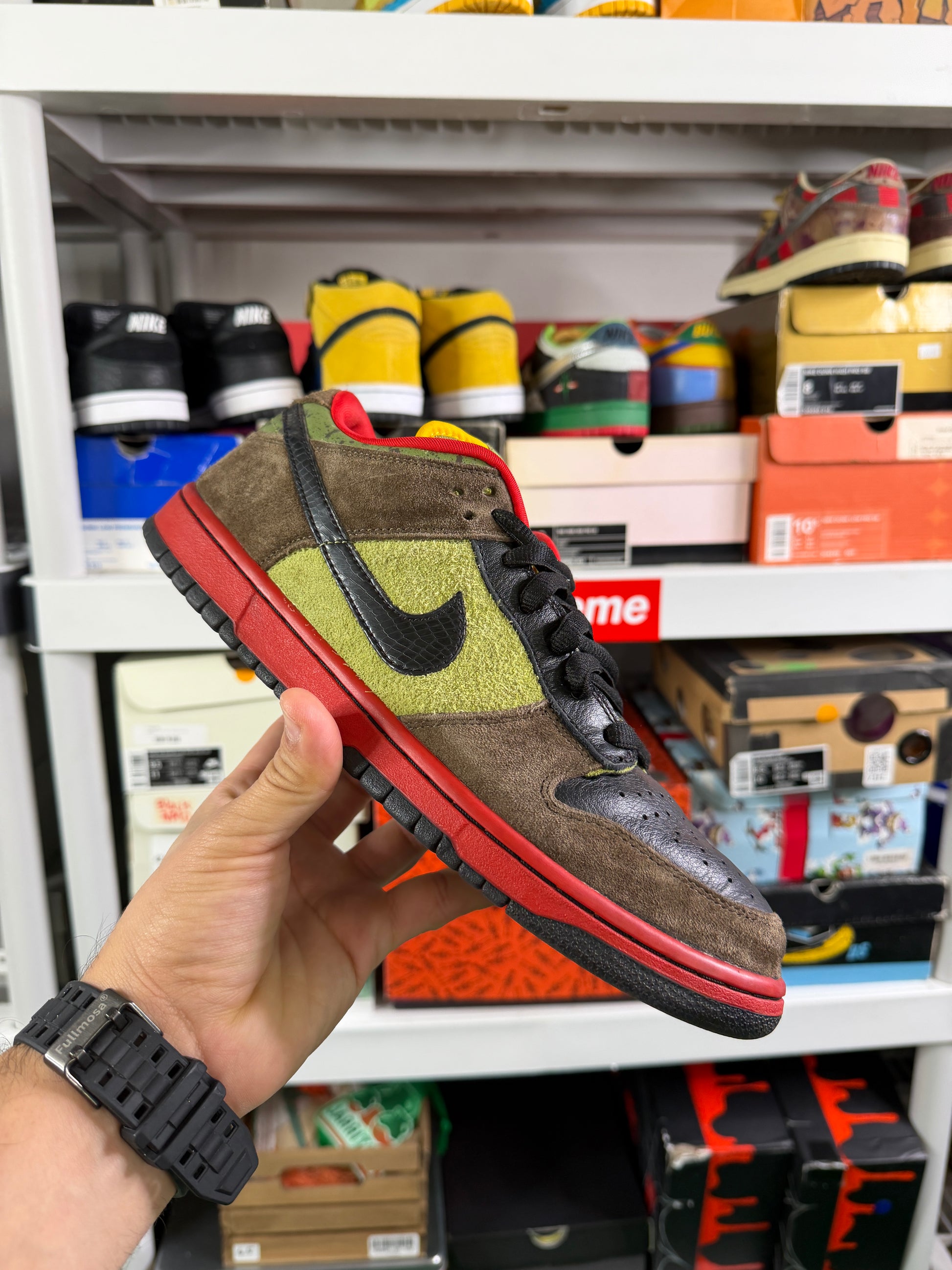 Nike Sb Asparagus - Size 10.5