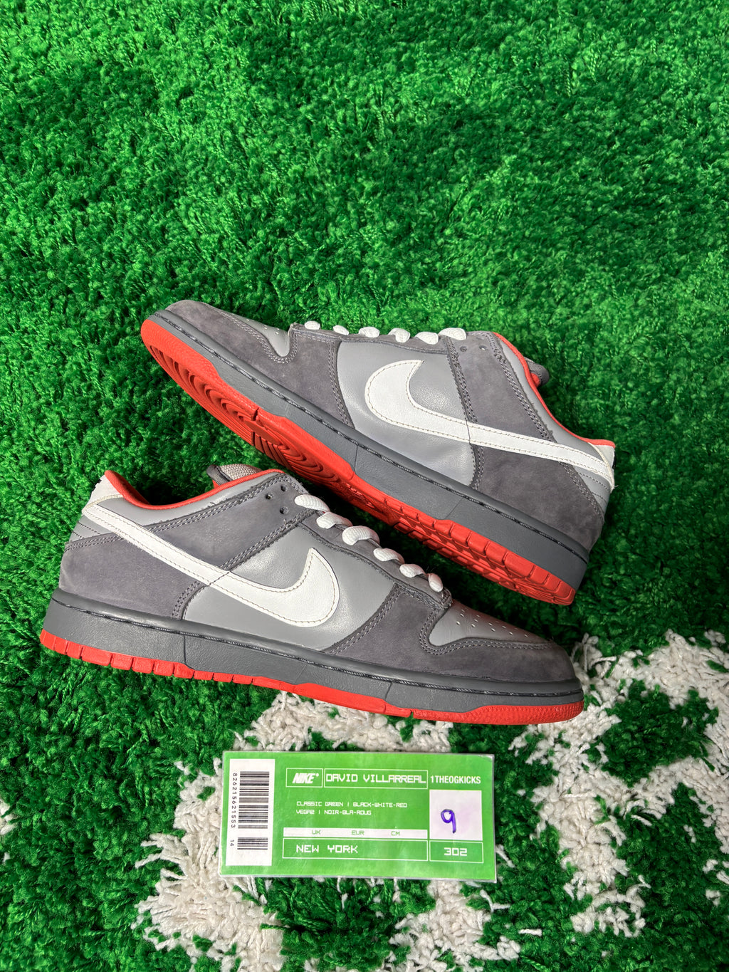 Nike Sb NYC Pigeon - Size 9