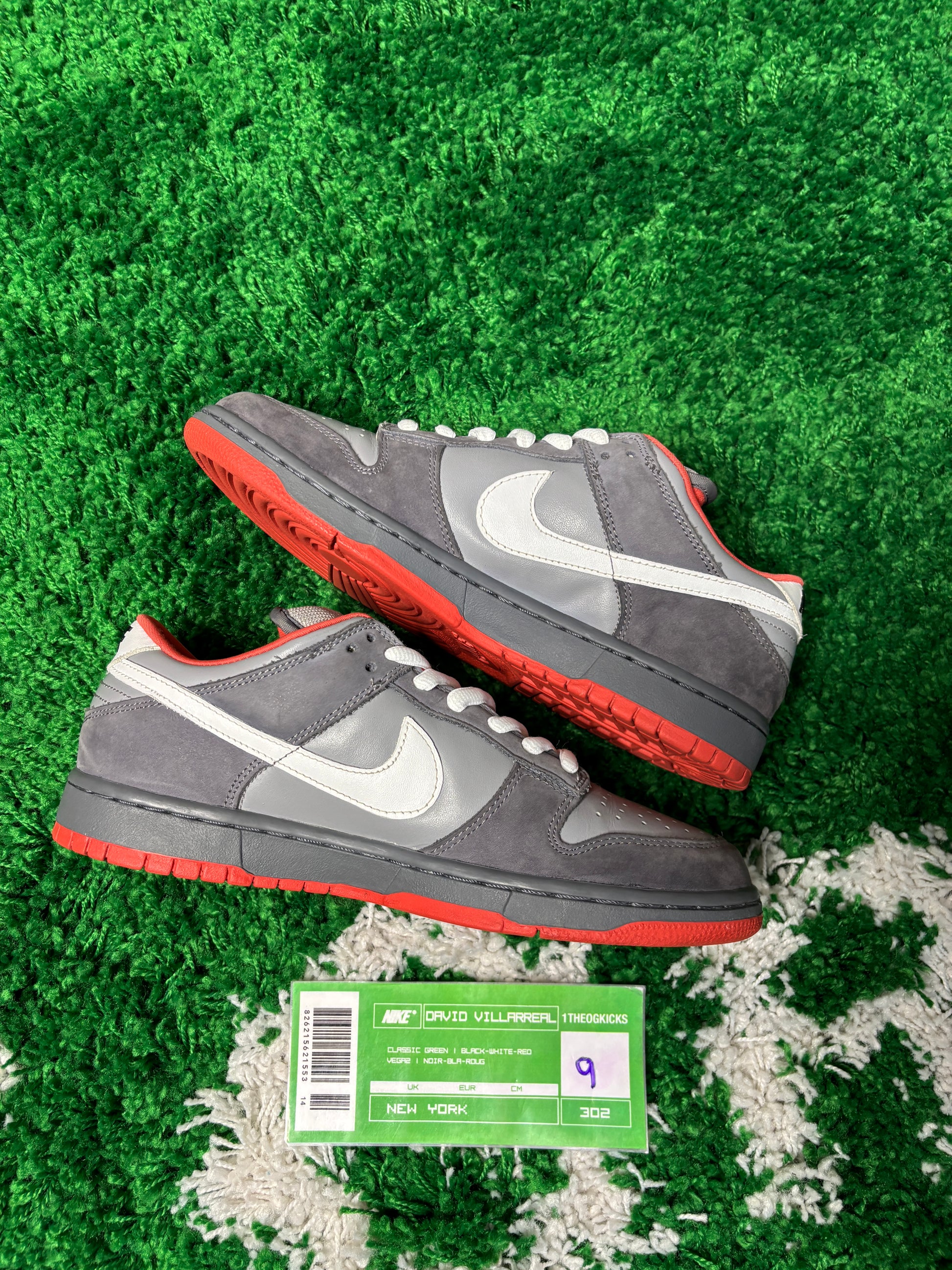 Nike Sb NYC Pigeon - Size 9