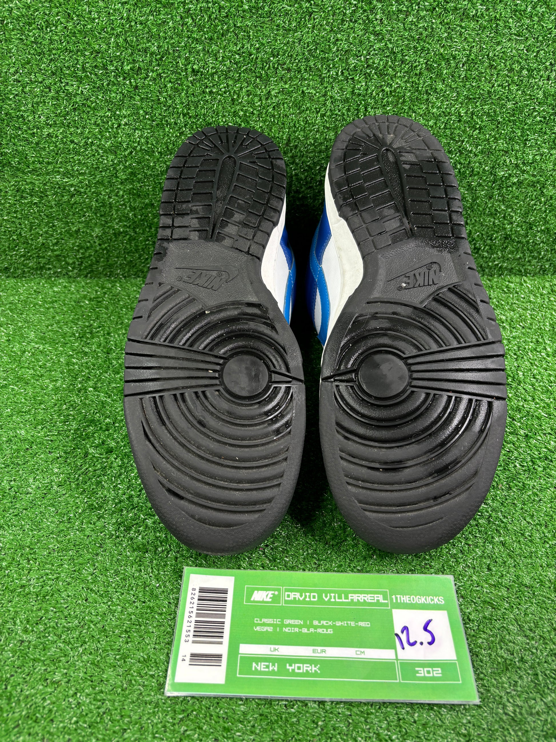 Nike Sb Neptune - Size 12.5