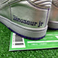 Nike Sb Dinosaur Jr - Size 10