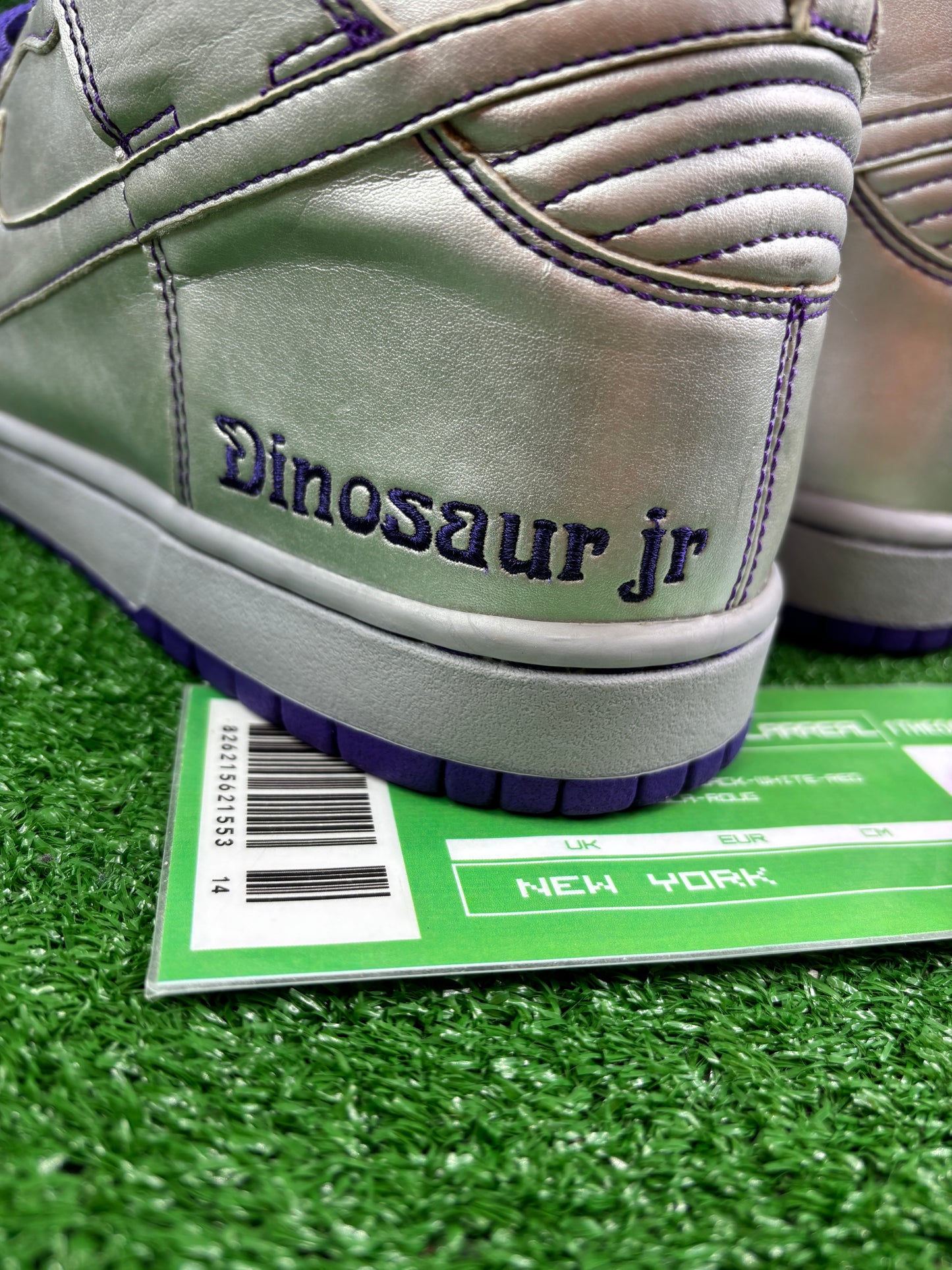 Nike Sb Dinosaur Jr - Size 10