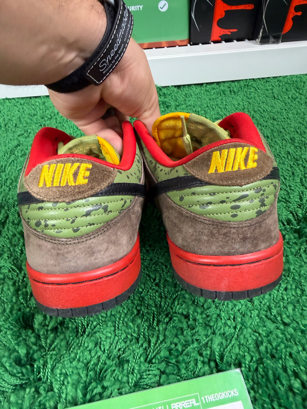 Nike Sb Asparagus - Size 10.5