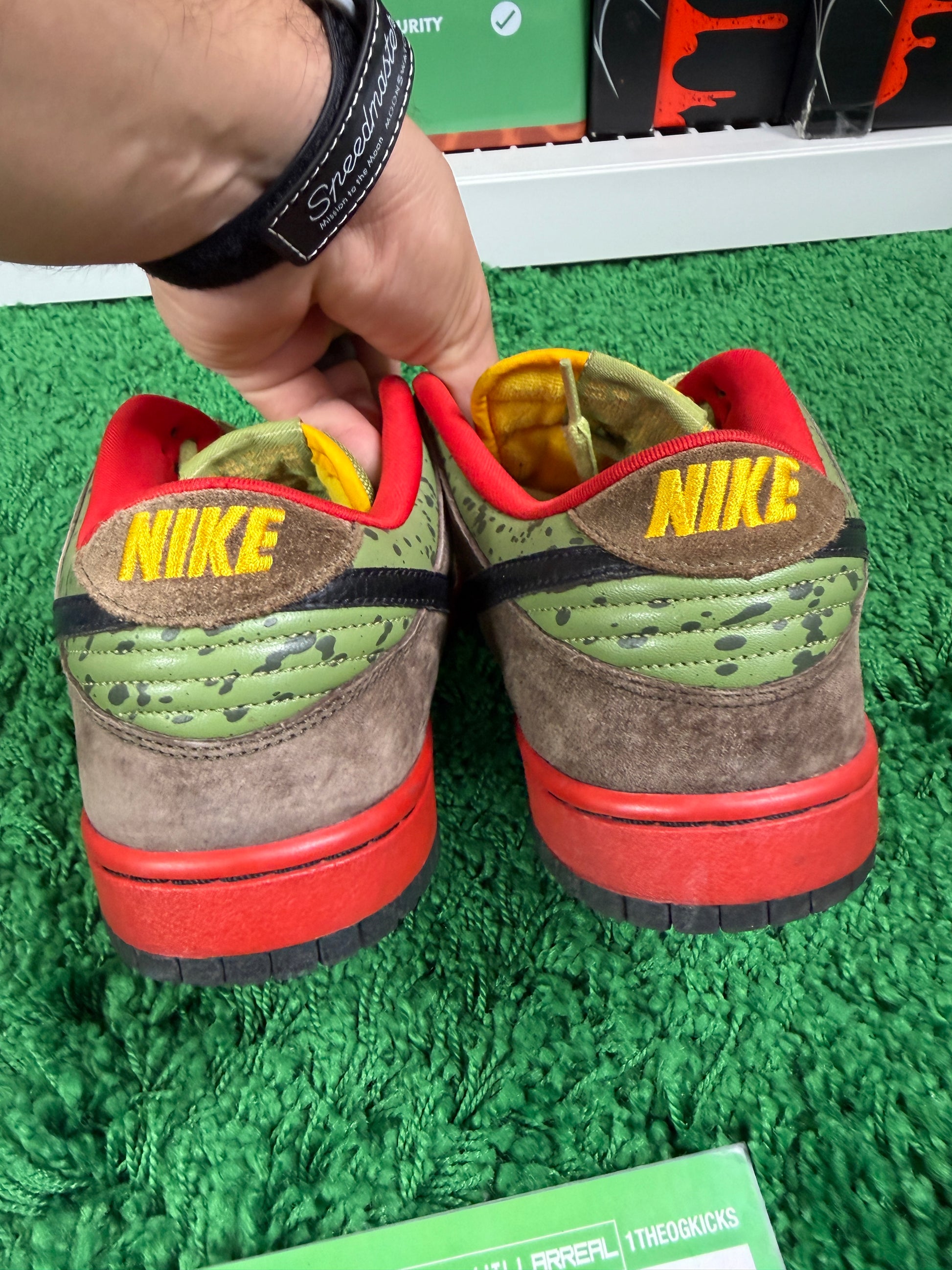 Nike Sb Asparagus - Size 10.5