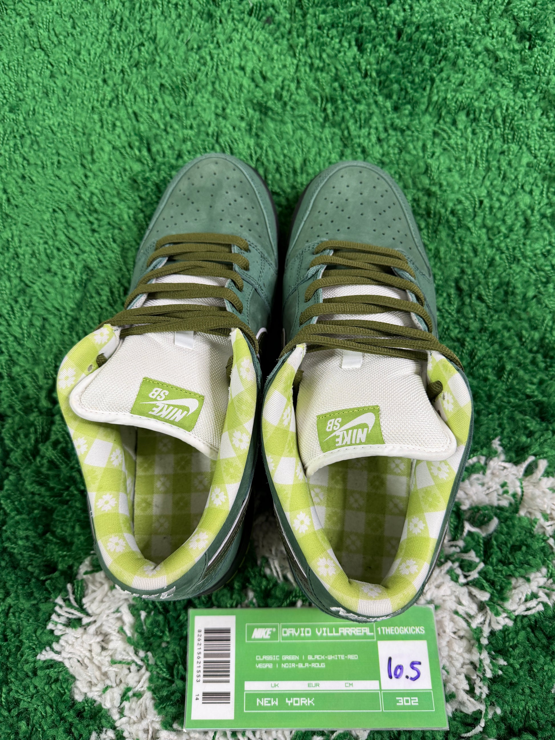 Nike Sb Green Lobsters Special Box - Size 10.5