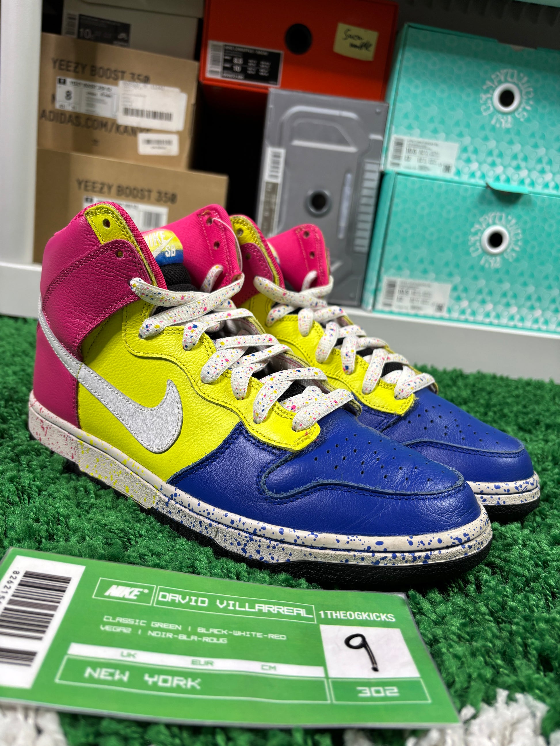 Nike Sb Ron Cameron Sample Set - Size 9