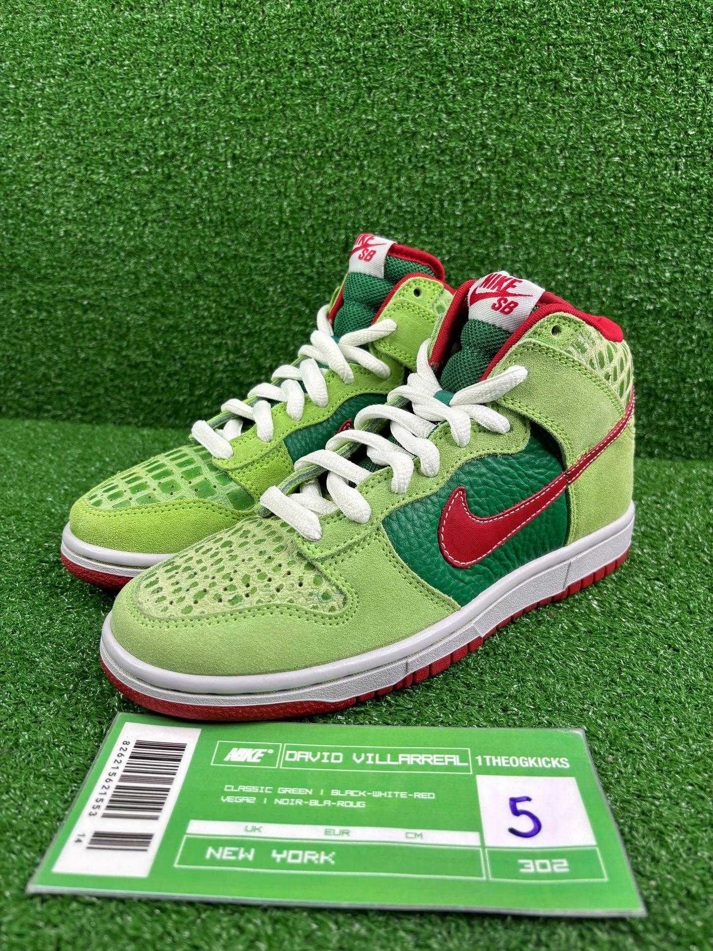 Nike Sb Dr. Feel Goods- Size 5