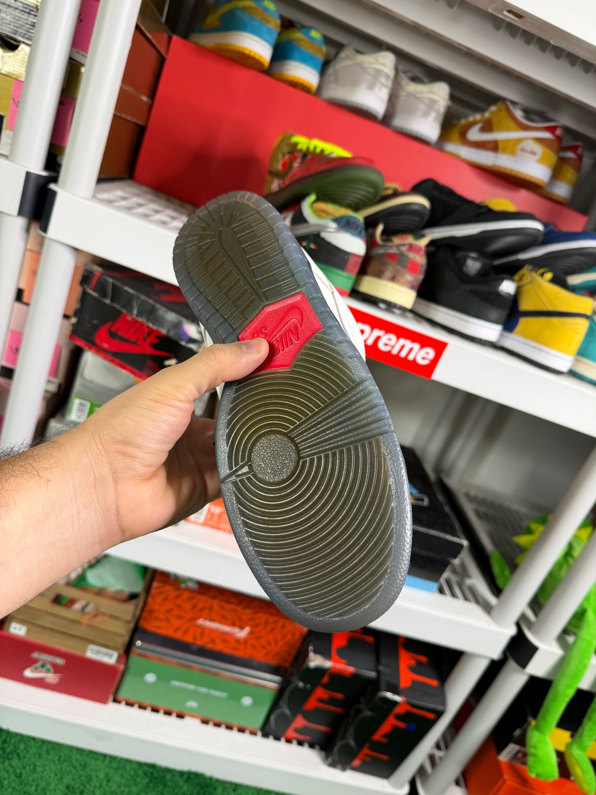 Nike Sb Dorothy - Size 9.5