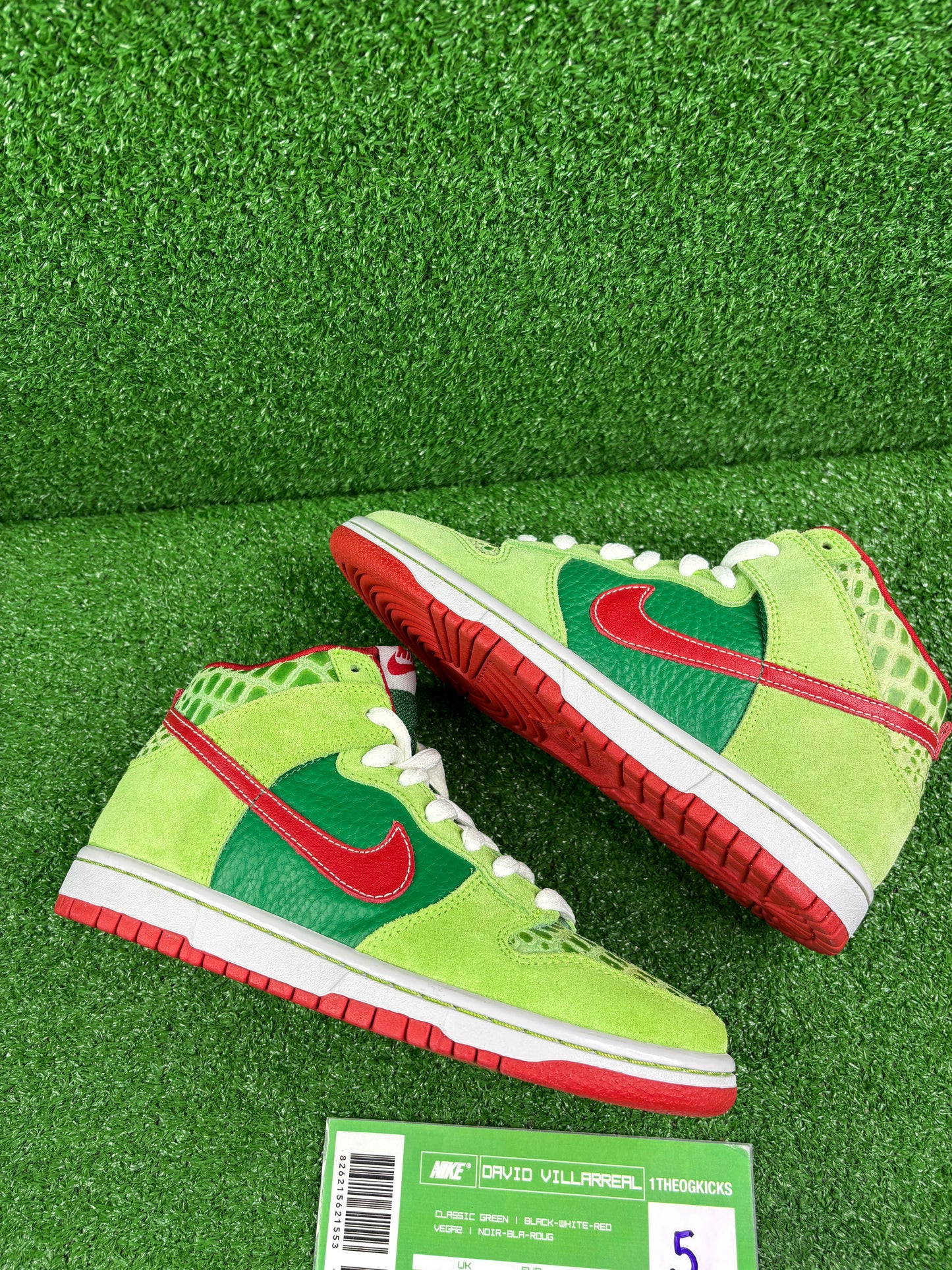 Nike Sb Dr. Feel Goods- Size 5