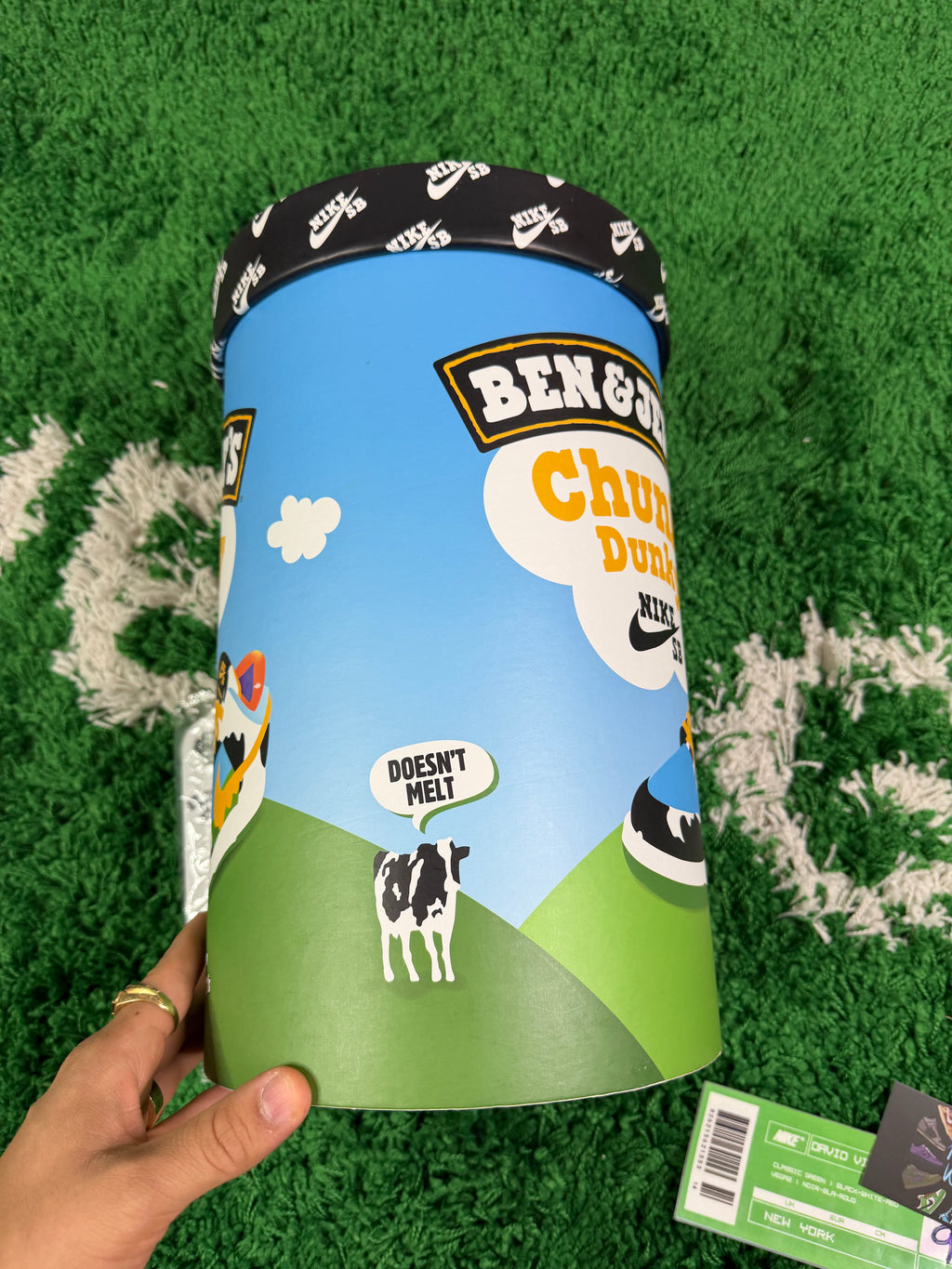 Nike Sb Chunky Dunky Special Box New - Size 9