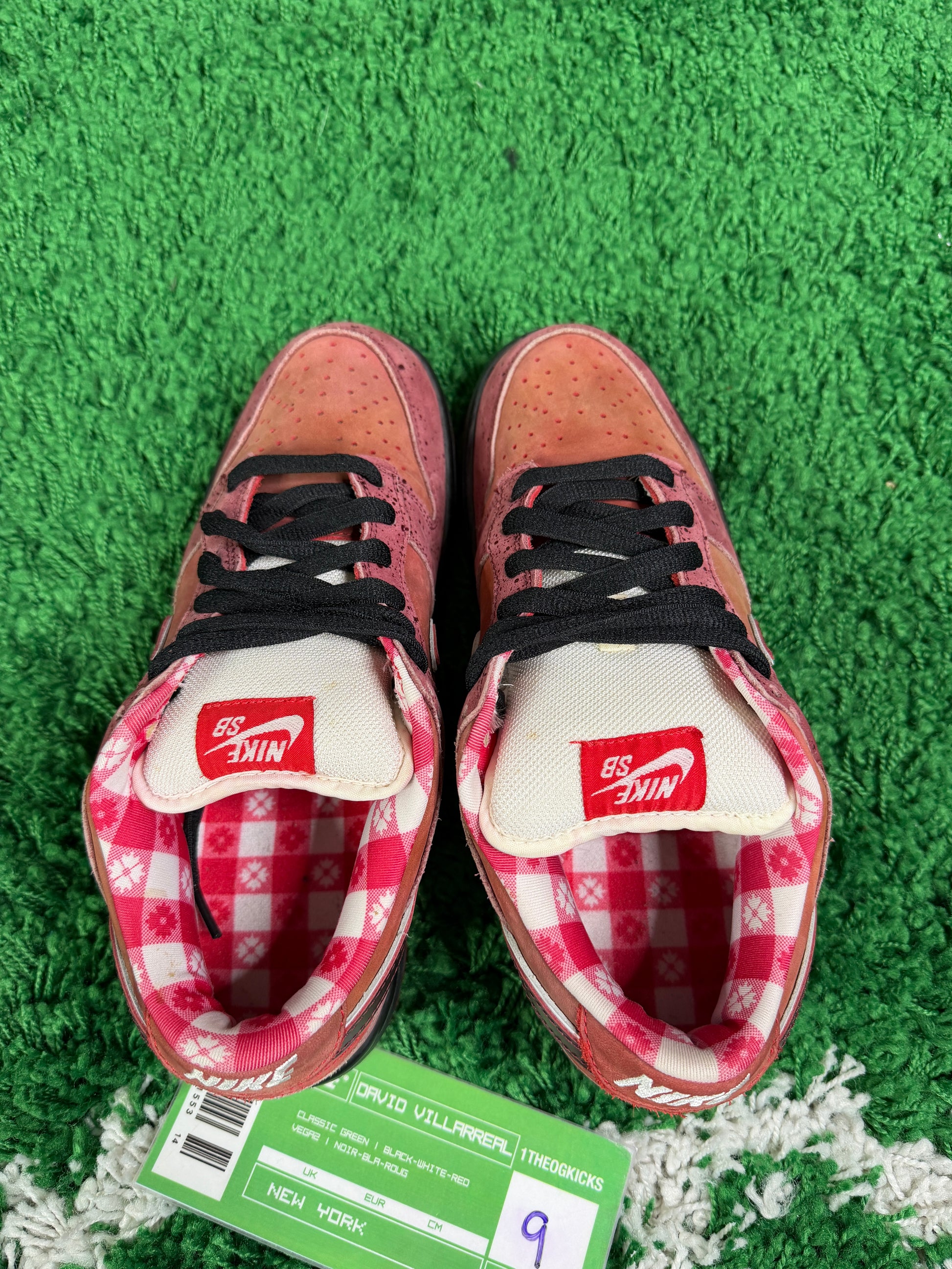 Nike Sb Red Lobsters - Size 9