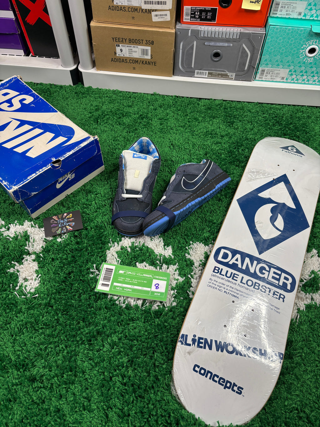 Nike Sb Blue Lobster Deck