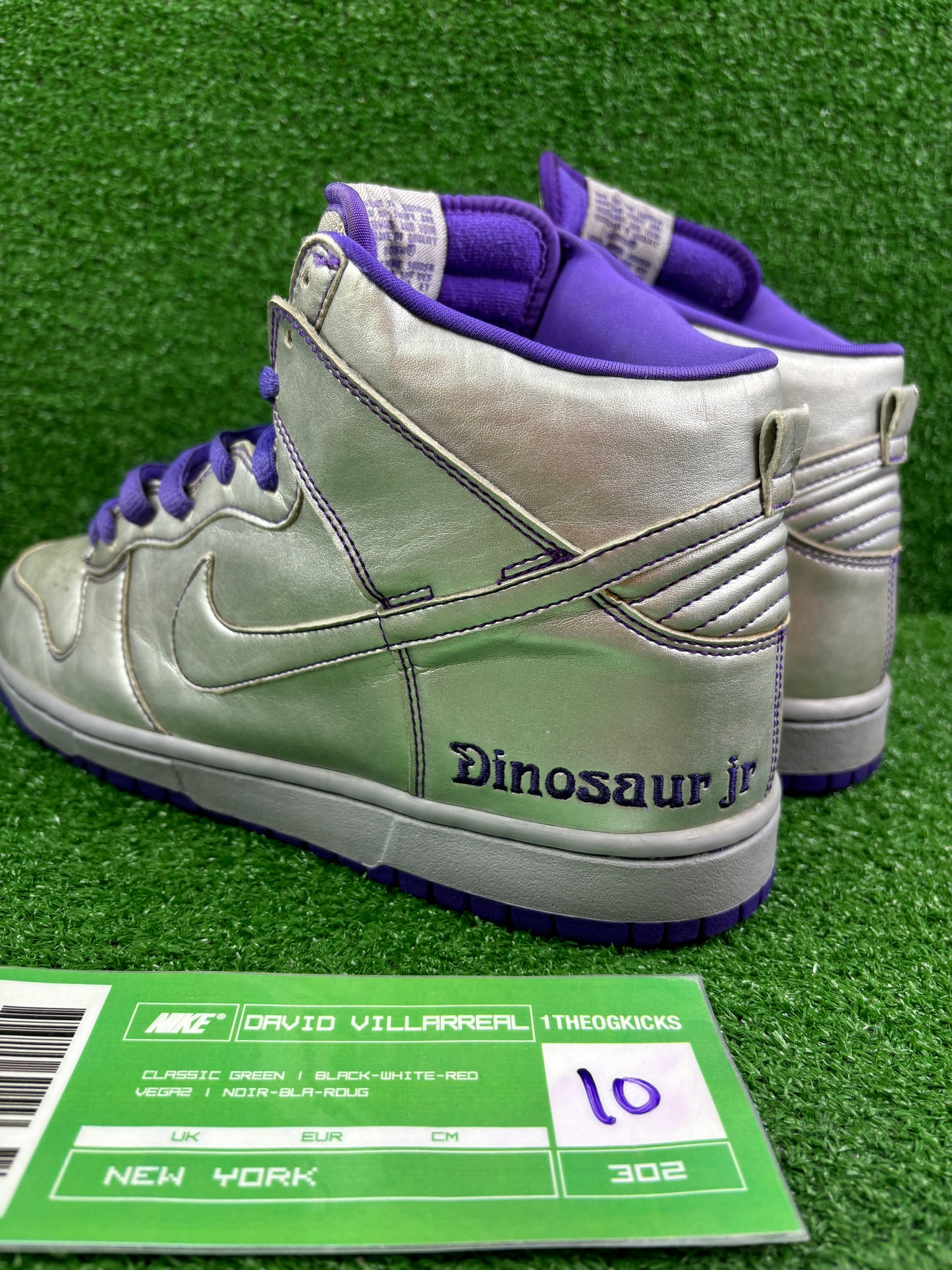 Nike Sb Dinosaur Jr - Size 10