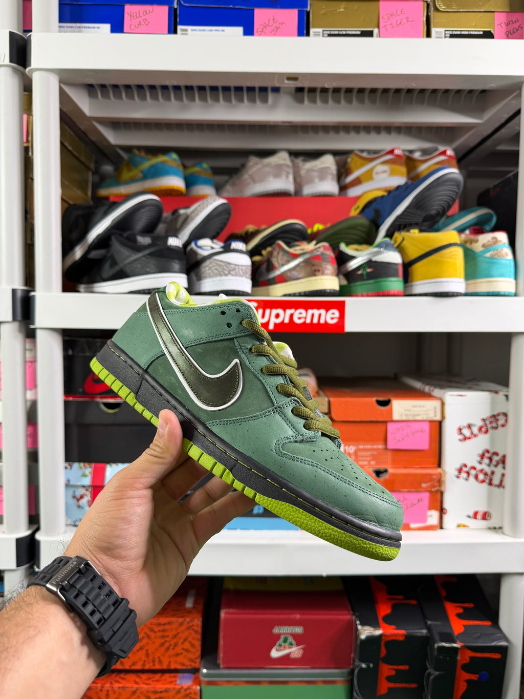 Nike Sb Green Lobsters Special Box - Size 10.5