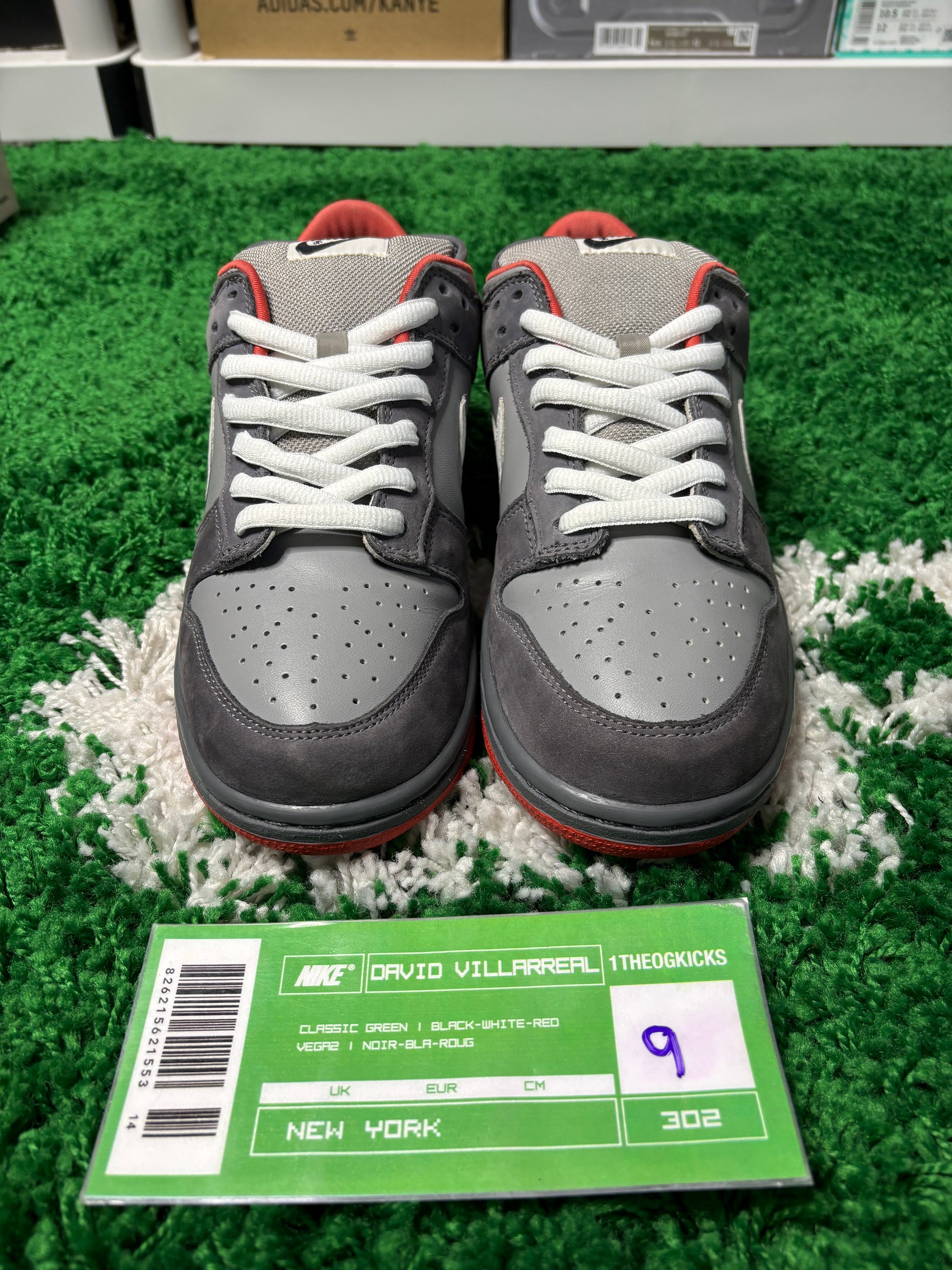 Nike Sb NYC Pigeon - Size 9