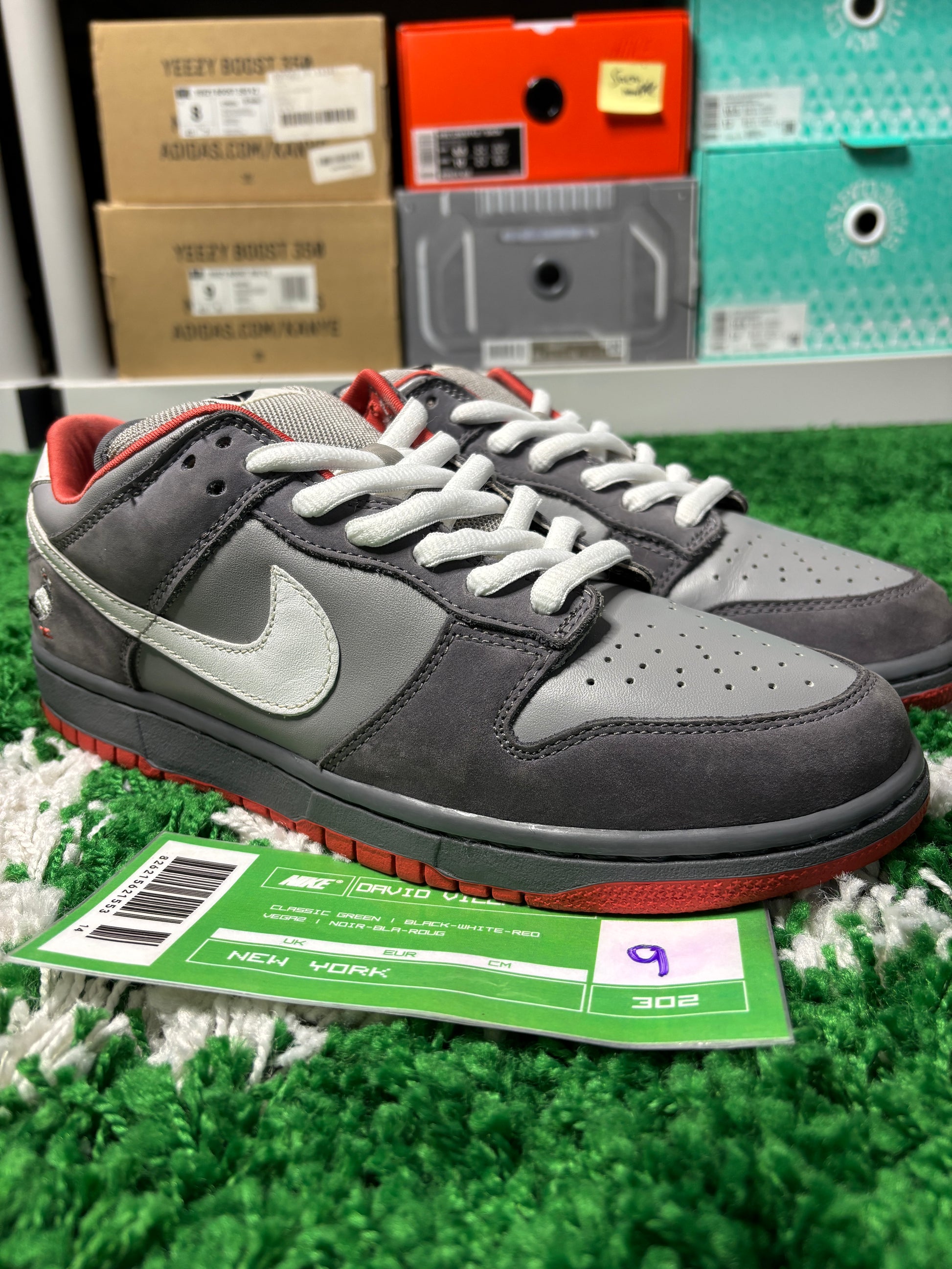 Nike Sb NYC Pigeon - Size 9