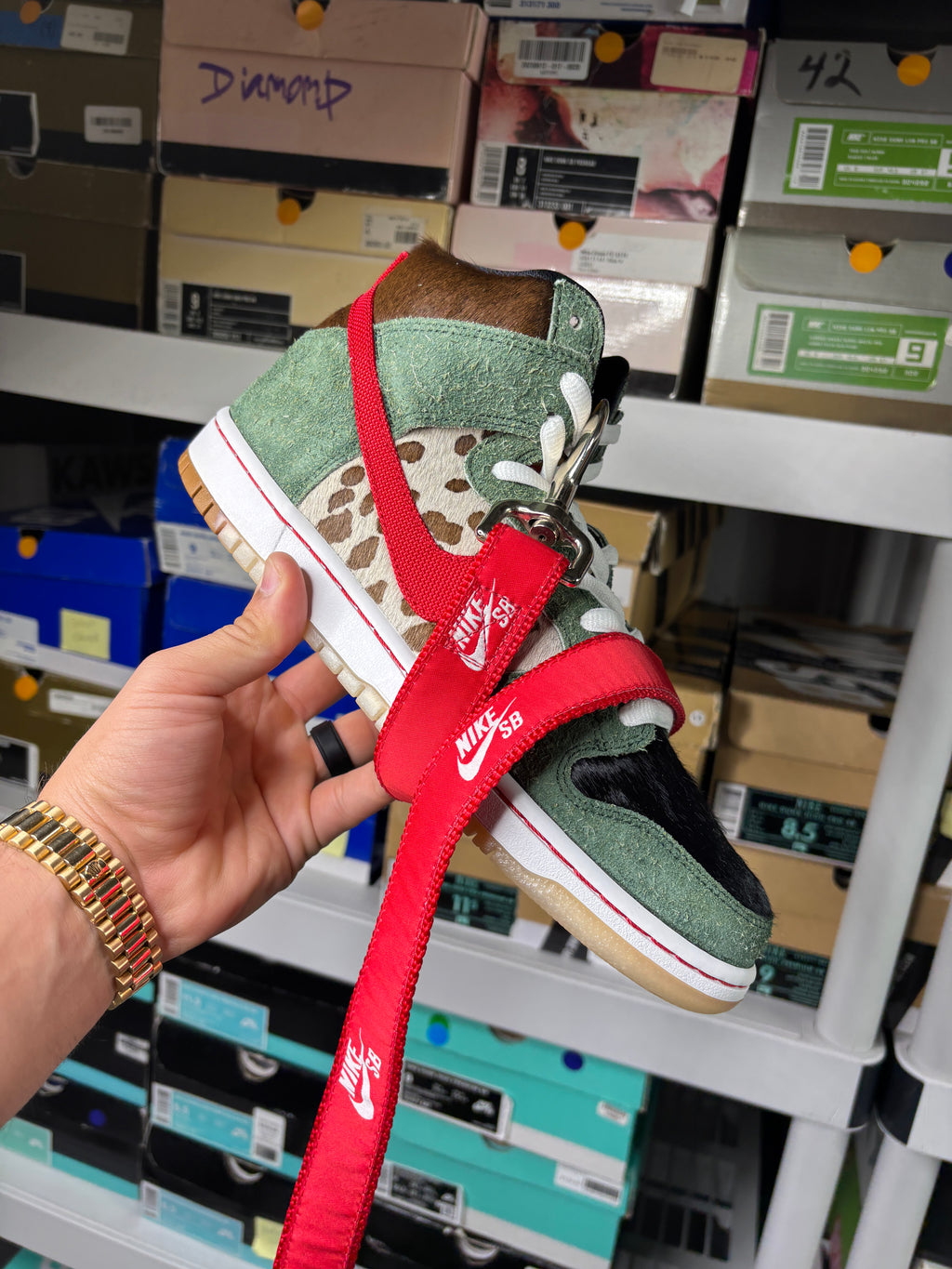 Nike Sb Dog Walkers Special Box W/ Leash - Size 9