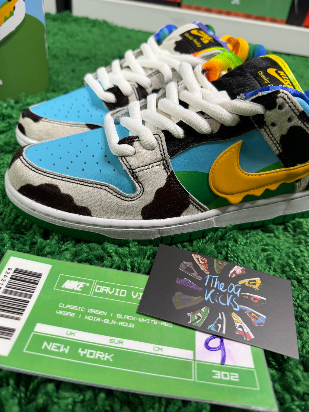 Nike Sb Chunky Dunky Special Box New - Size 9