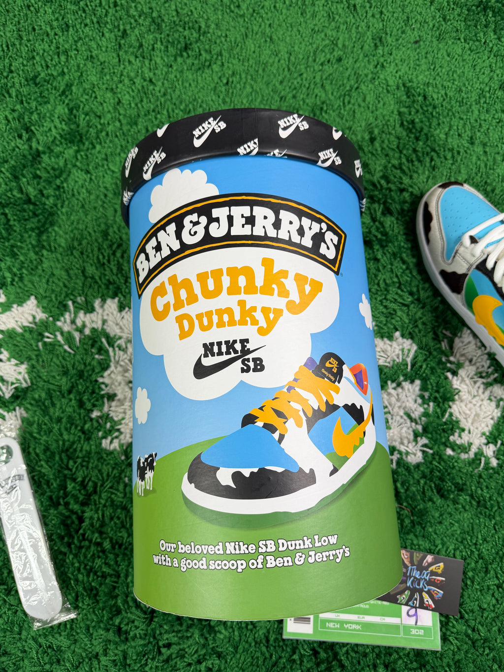 Nike Sb Chunky Dunky Special Box New - Size 9