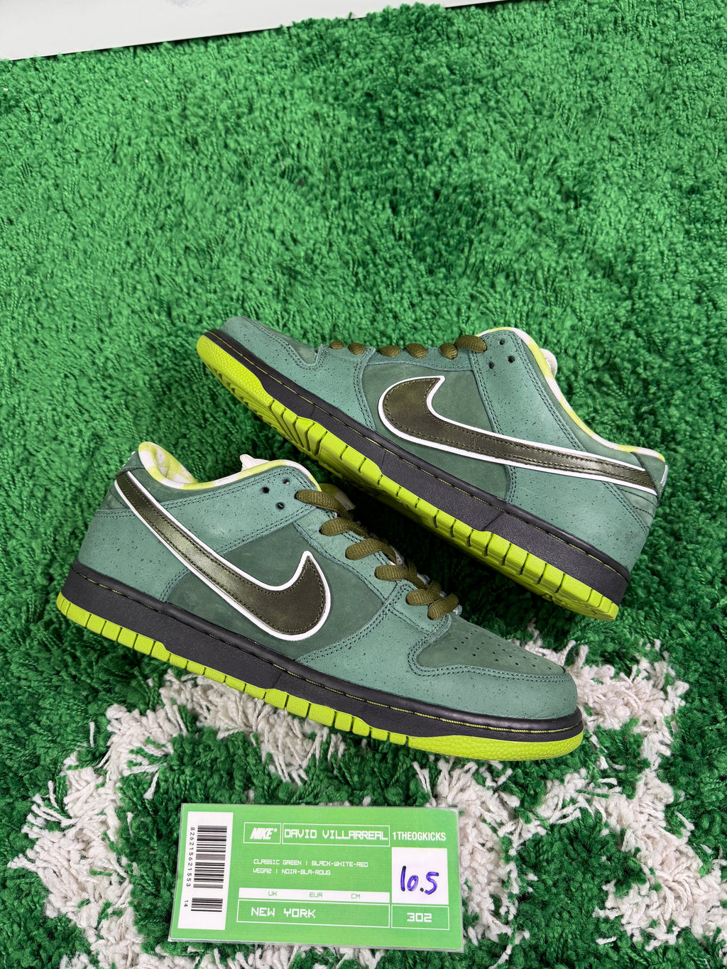Nike Sb Green Lobsters Special Box - Size 10.5