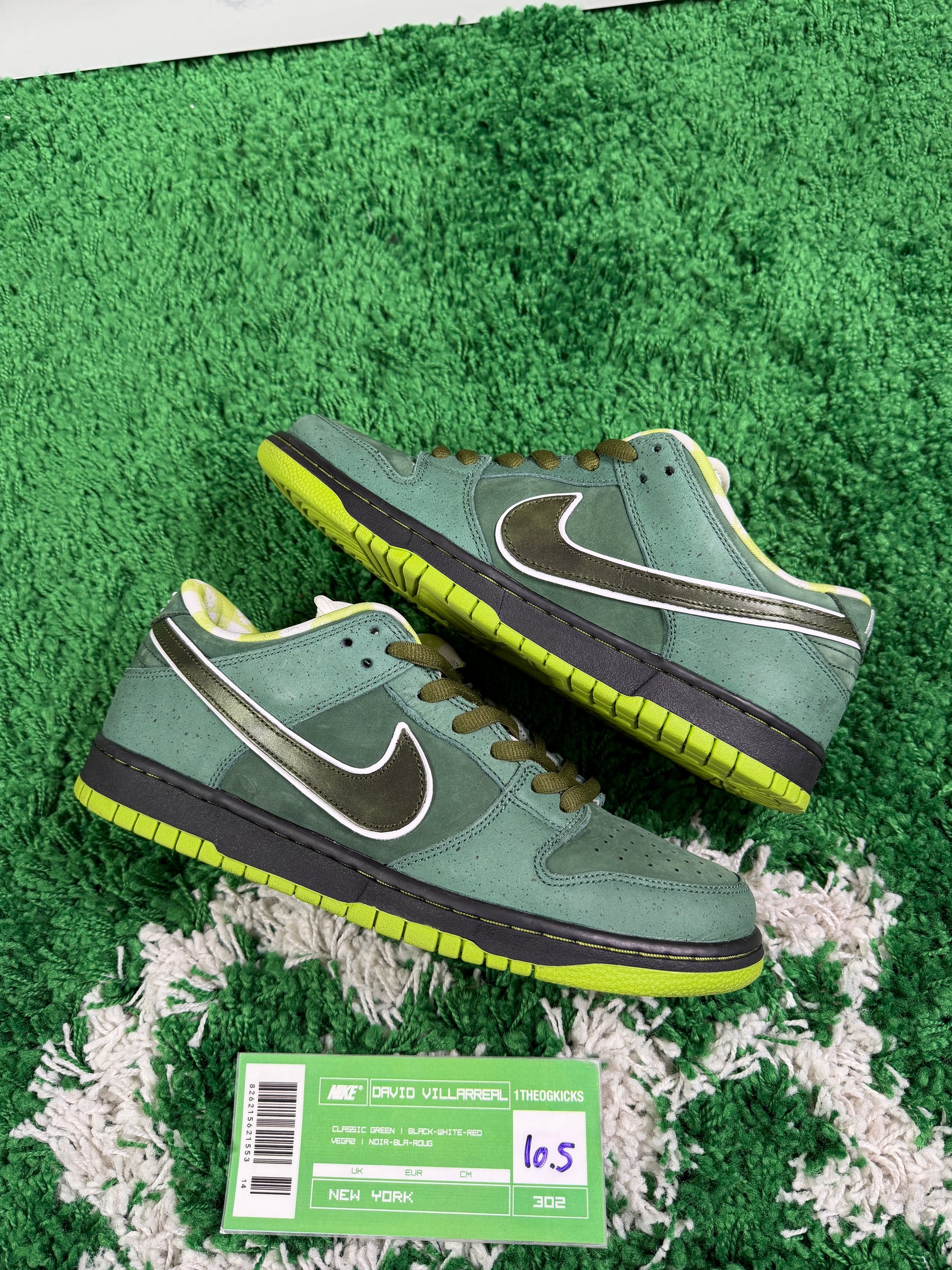Nike Sb Green Lobsters Special Box - Size 10.5