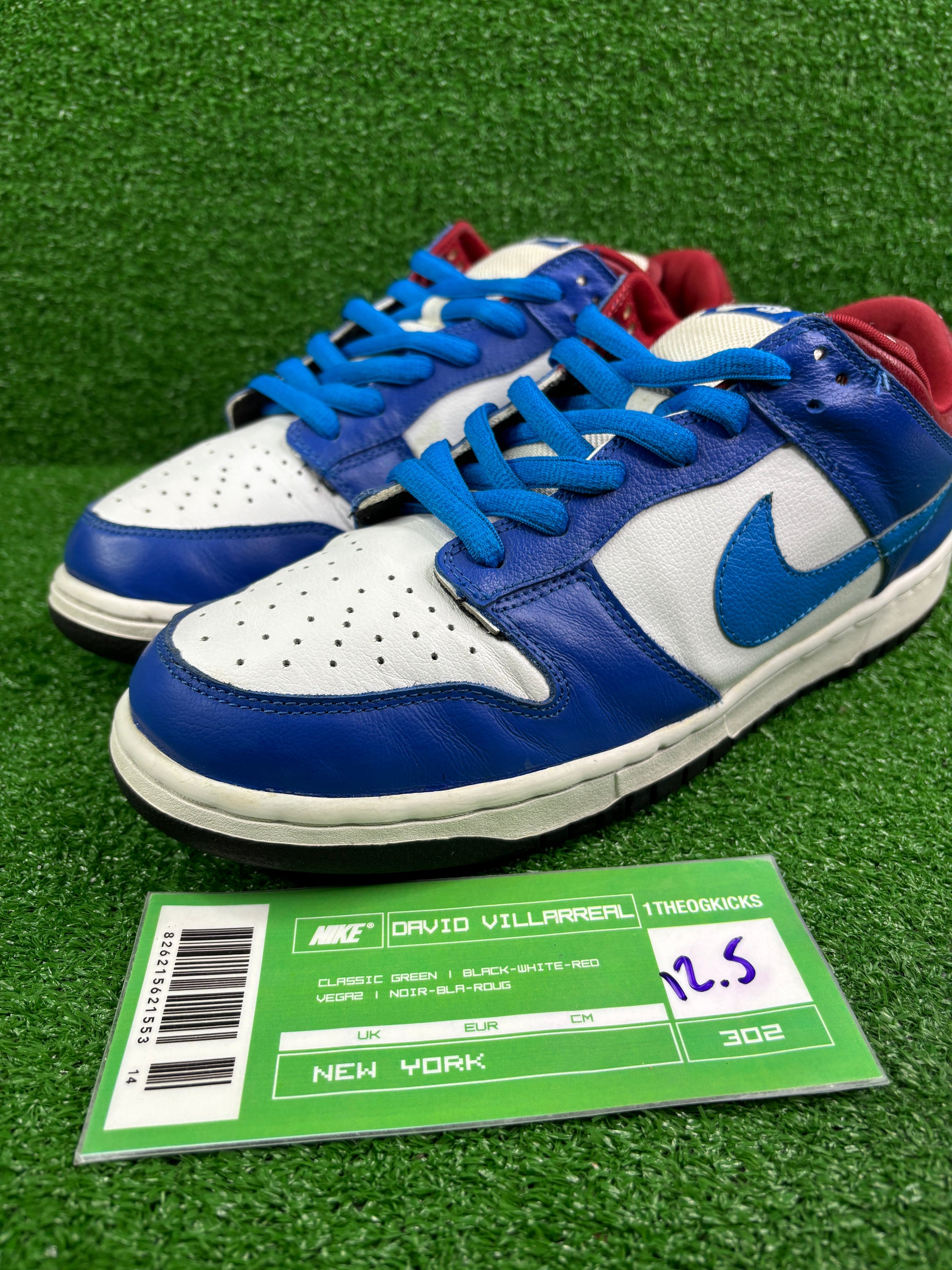 Nike Sb Neptune - Size 12.5