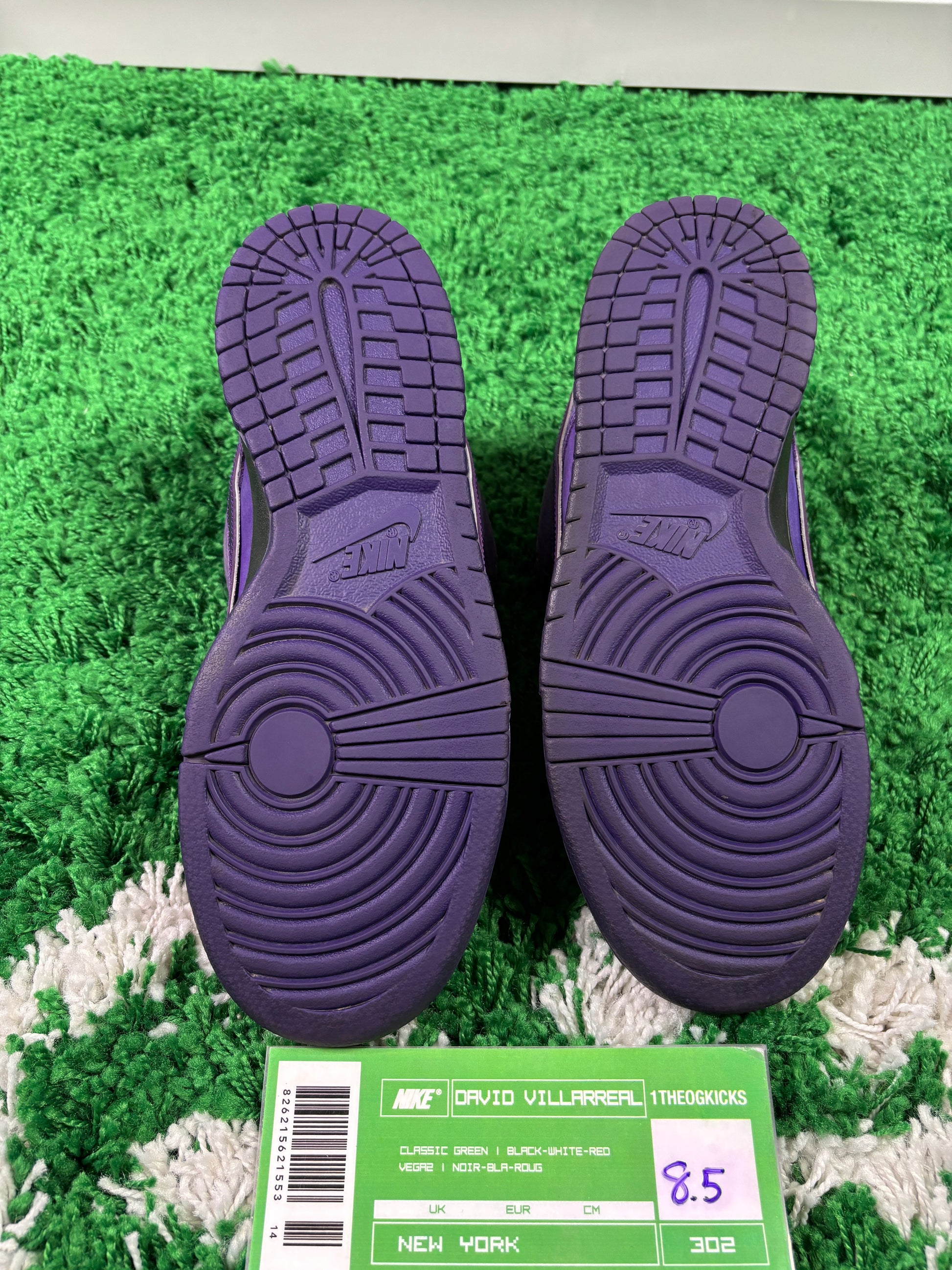 Nike Sb Purple Lobsters - Size 8.5