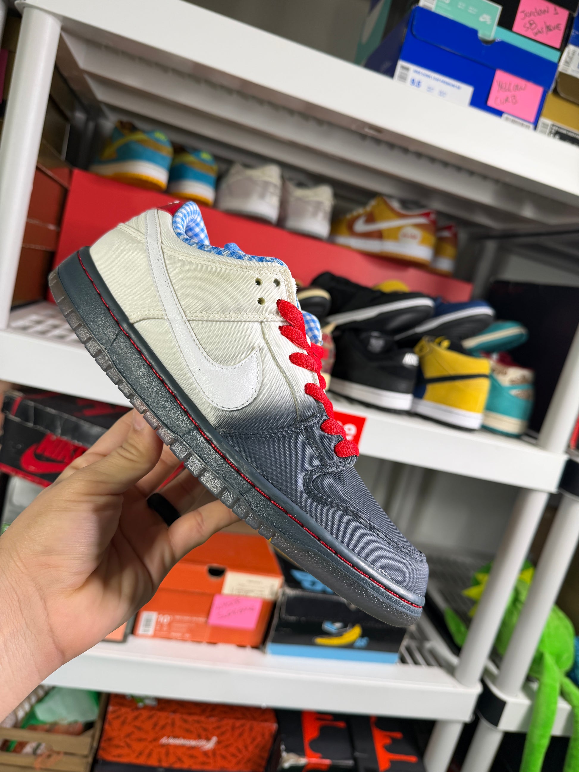 Nike Sb Dorothy - Size 9.5