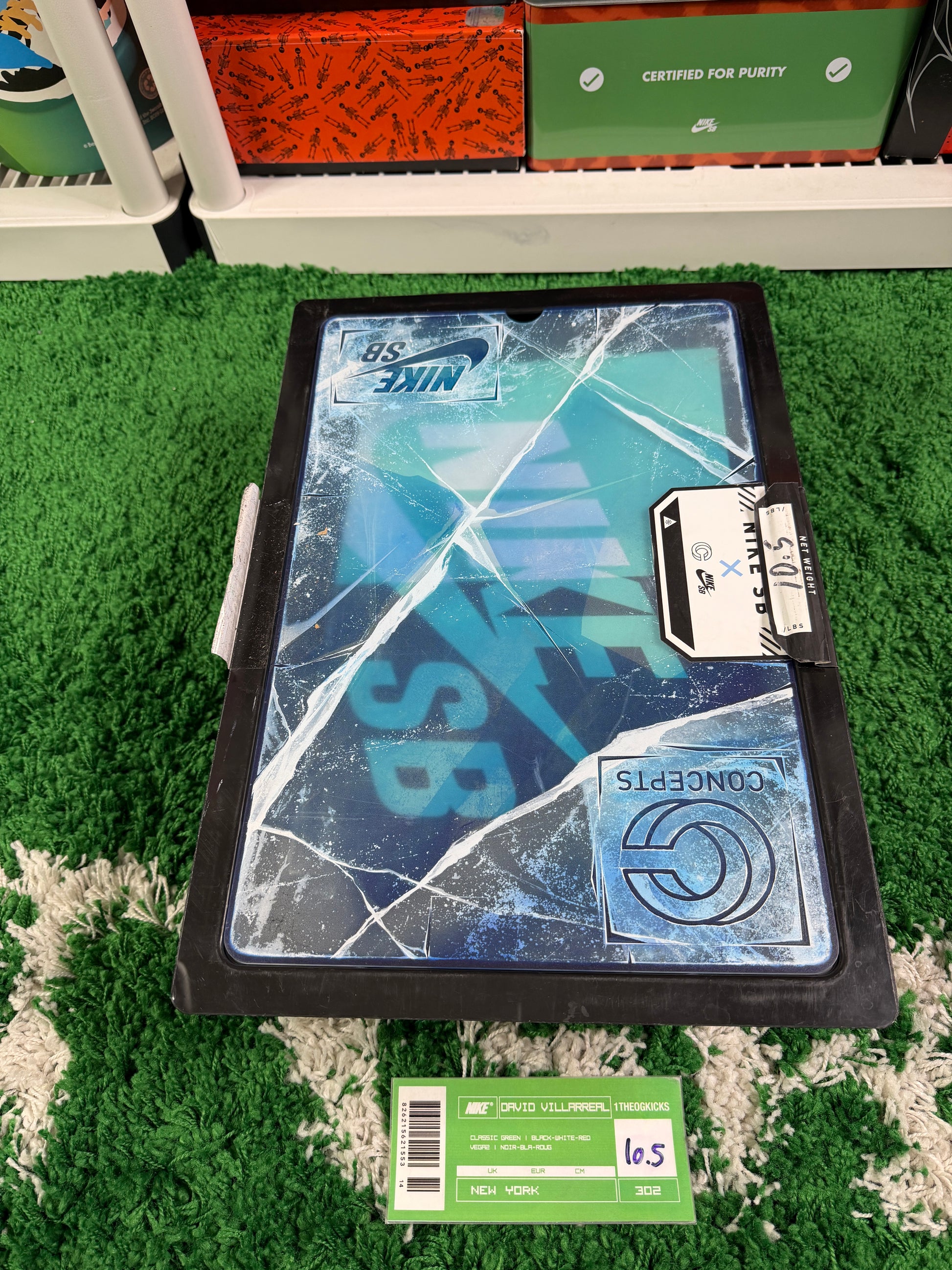 Nike Sb Green Lobsters Special Box - Size 10.5