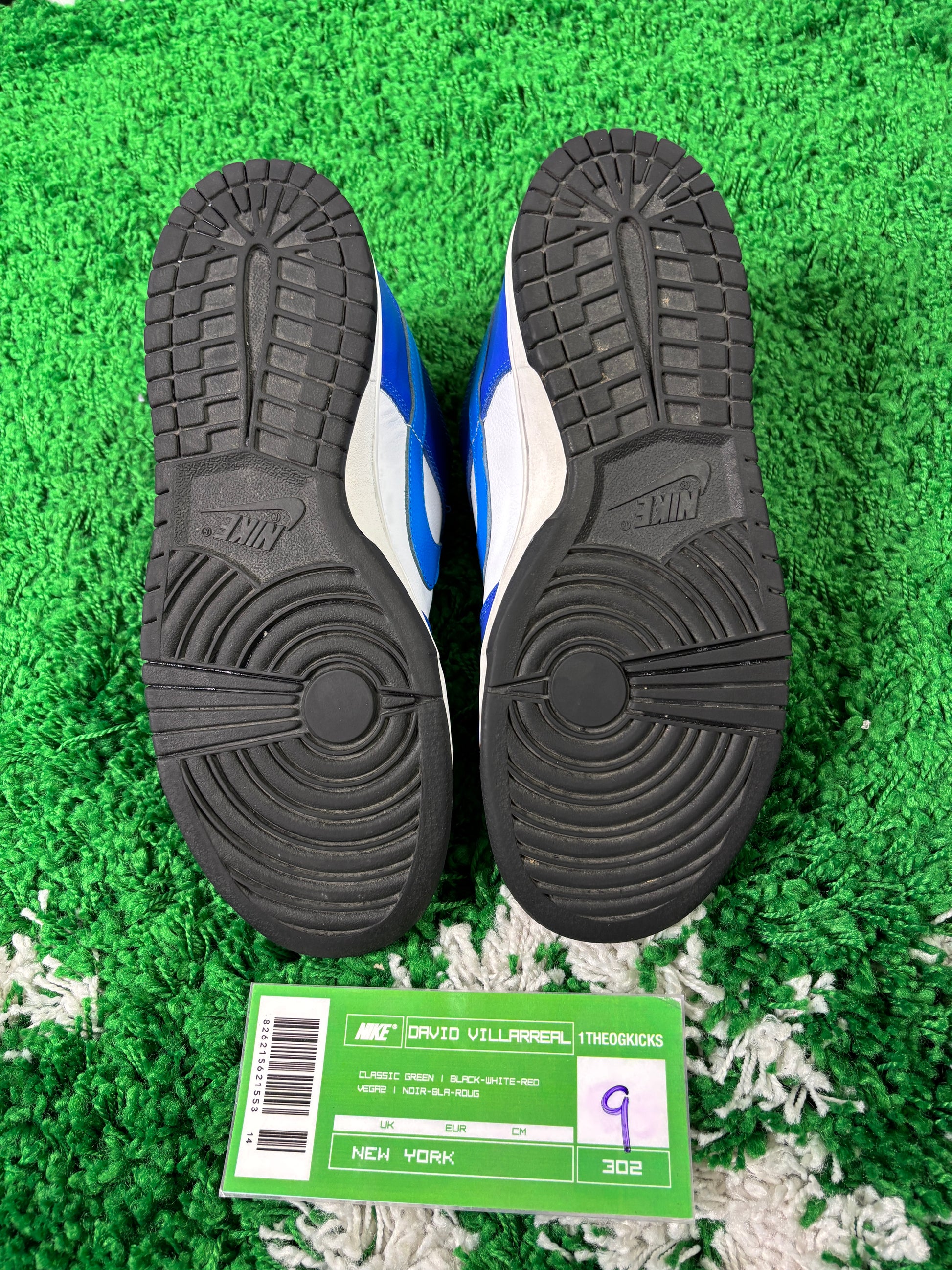 Nike Sb Neptunes - Size 9