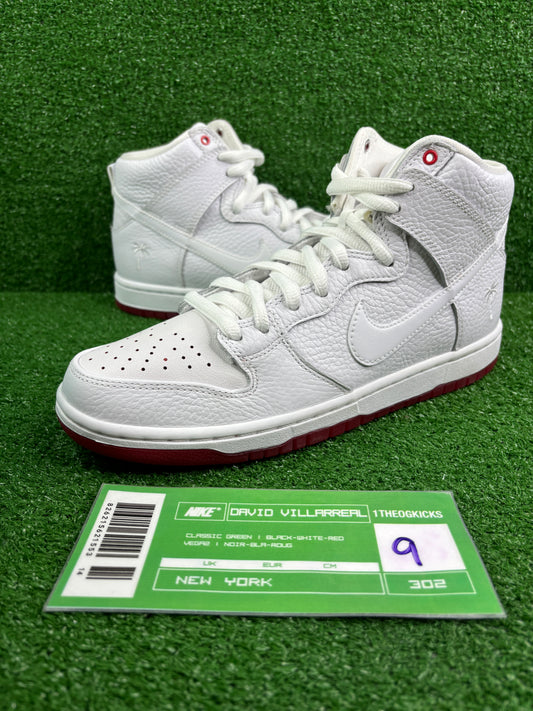 Nike Sb Kevin Bradley - Size 9