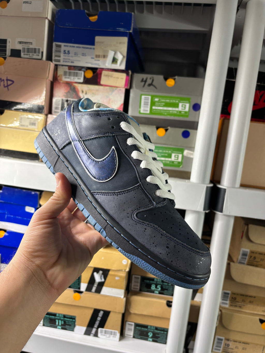 Nike Sb Blue Lobsters - Size 11.5