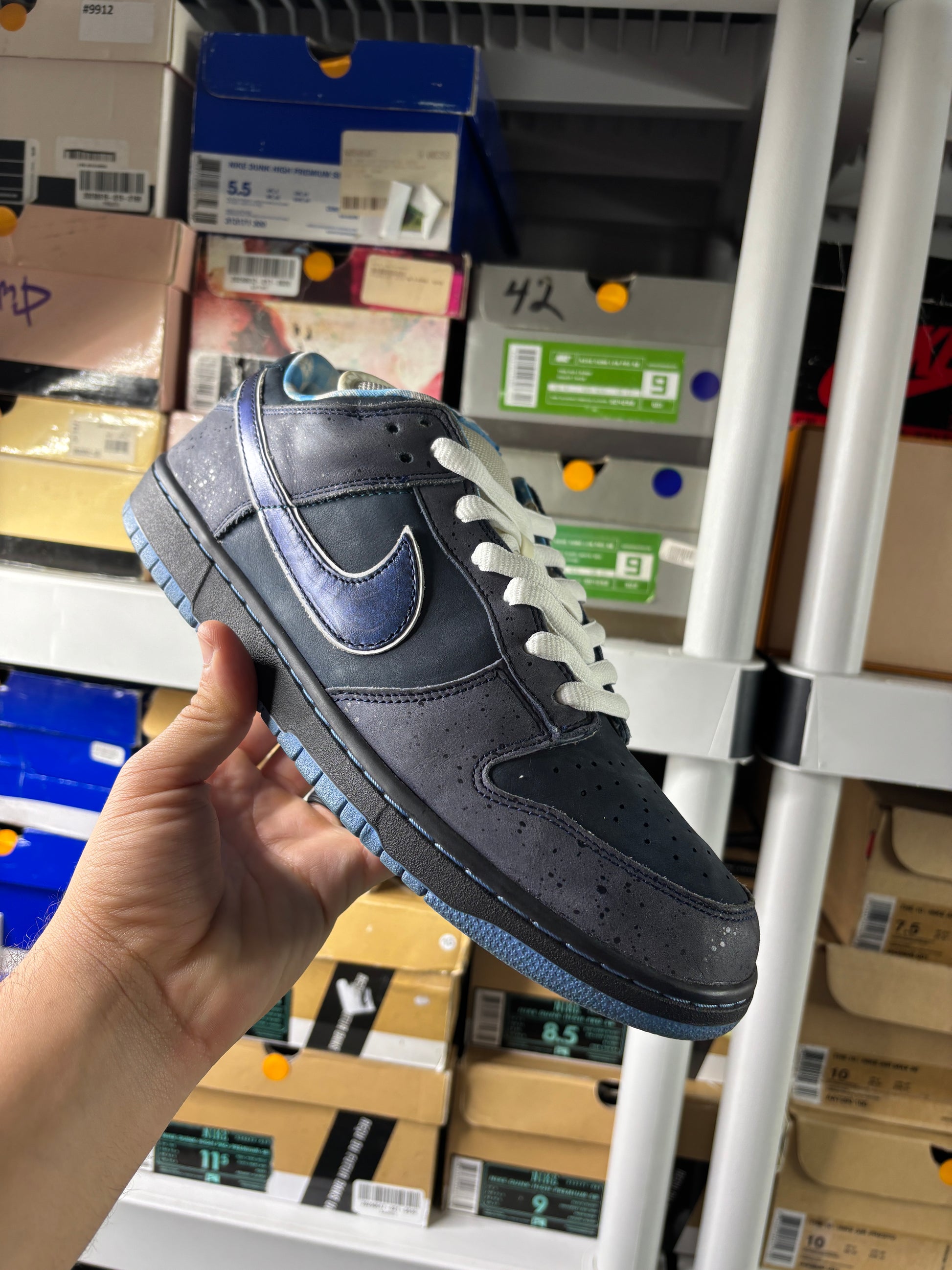 Nike Sb Blue Lobsters - Size 11.5