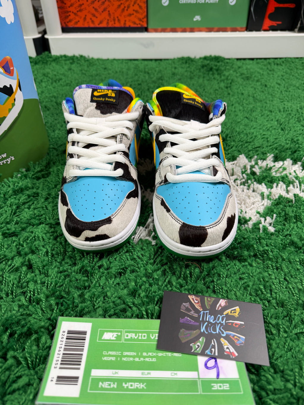 Nike Sb Chunky Dunky Special Box New - Size 9