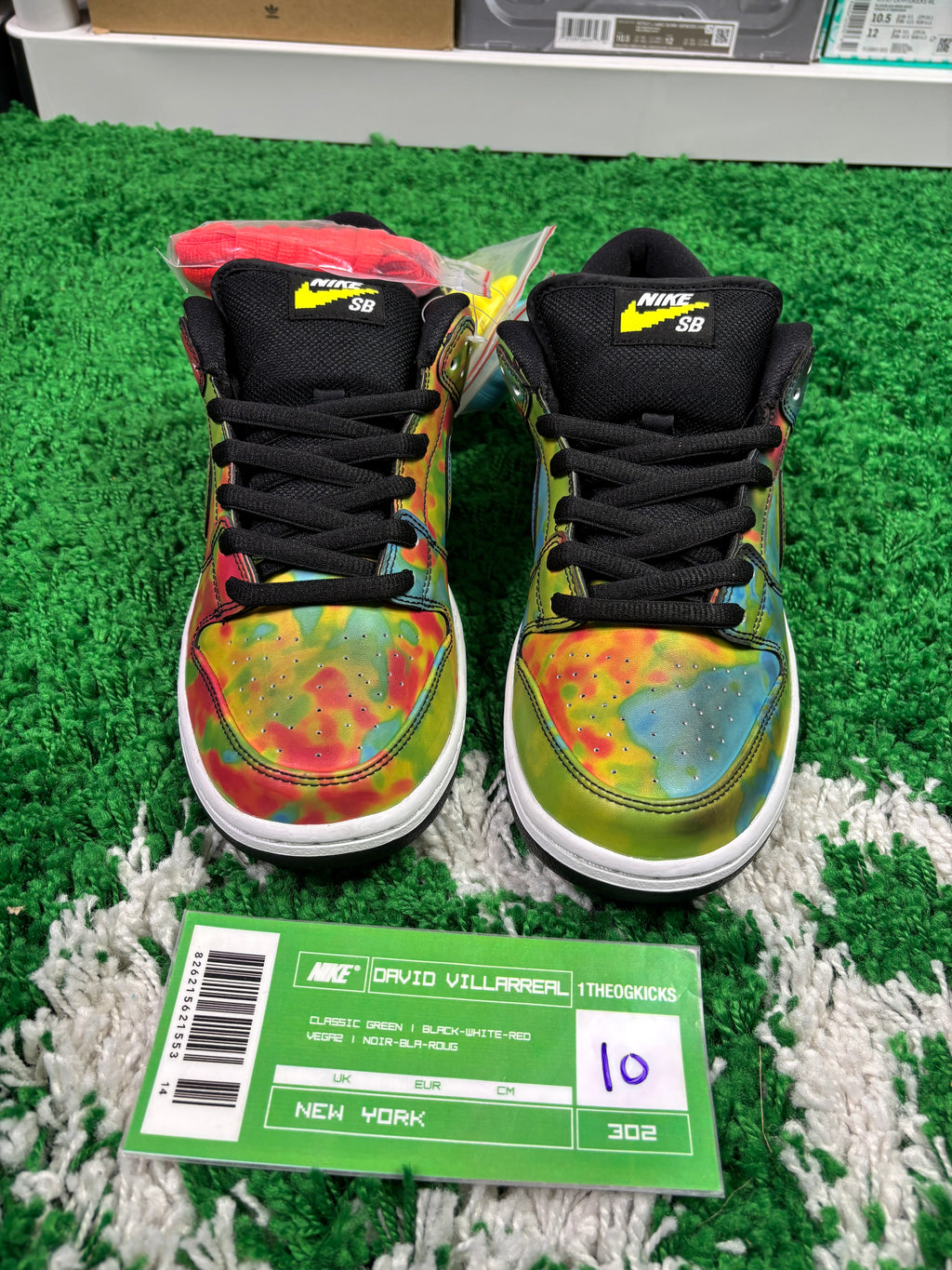 Nike Sb Thermal Civilist (Special Box) - Size 10
