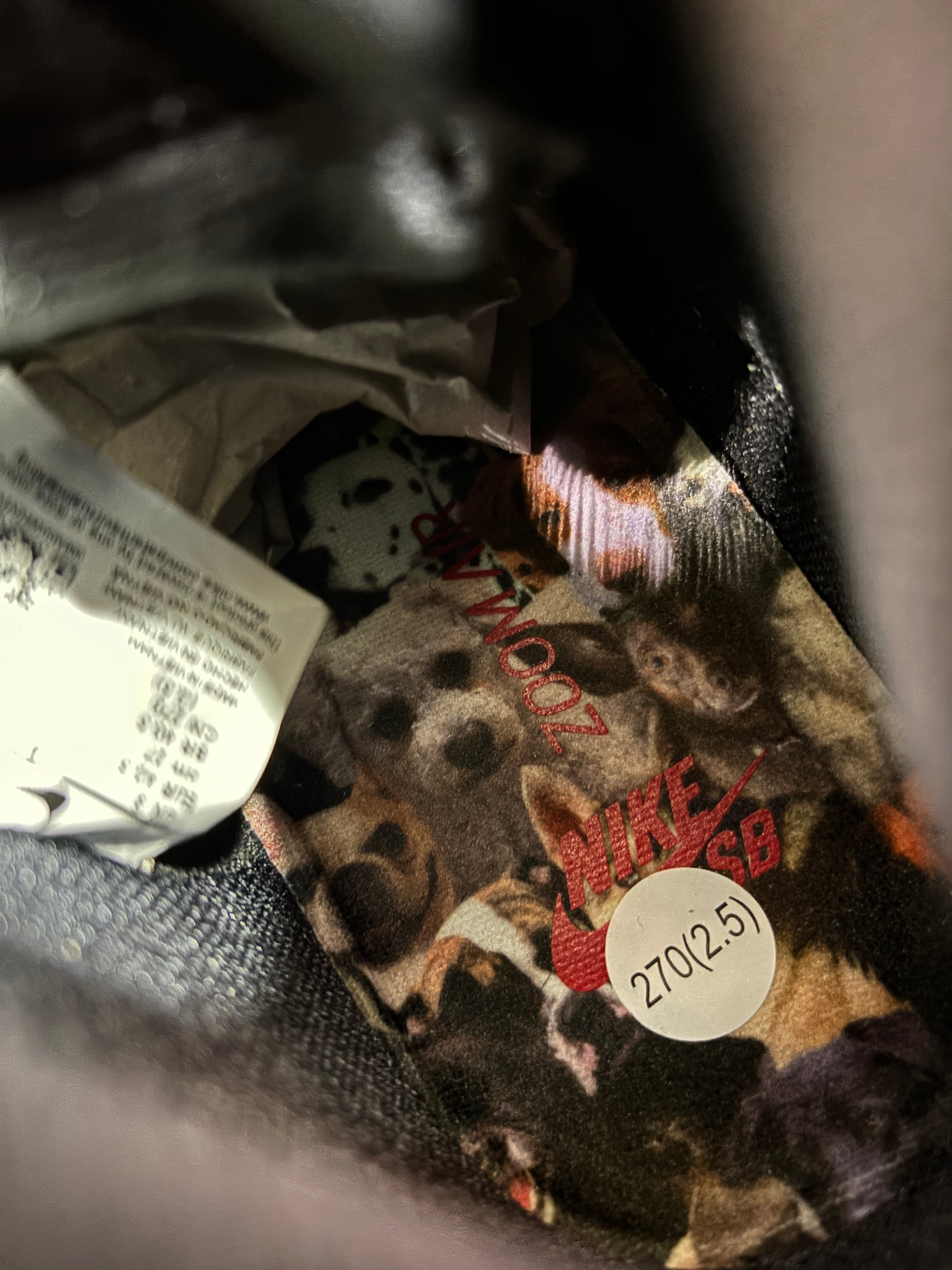 Nike Sb Dog Walkers Special Box W/ Leash - Size 9