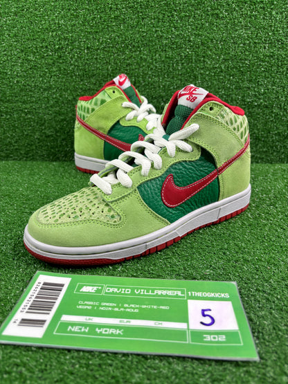 Nike Sb Dr. Feel Goods- Size 5