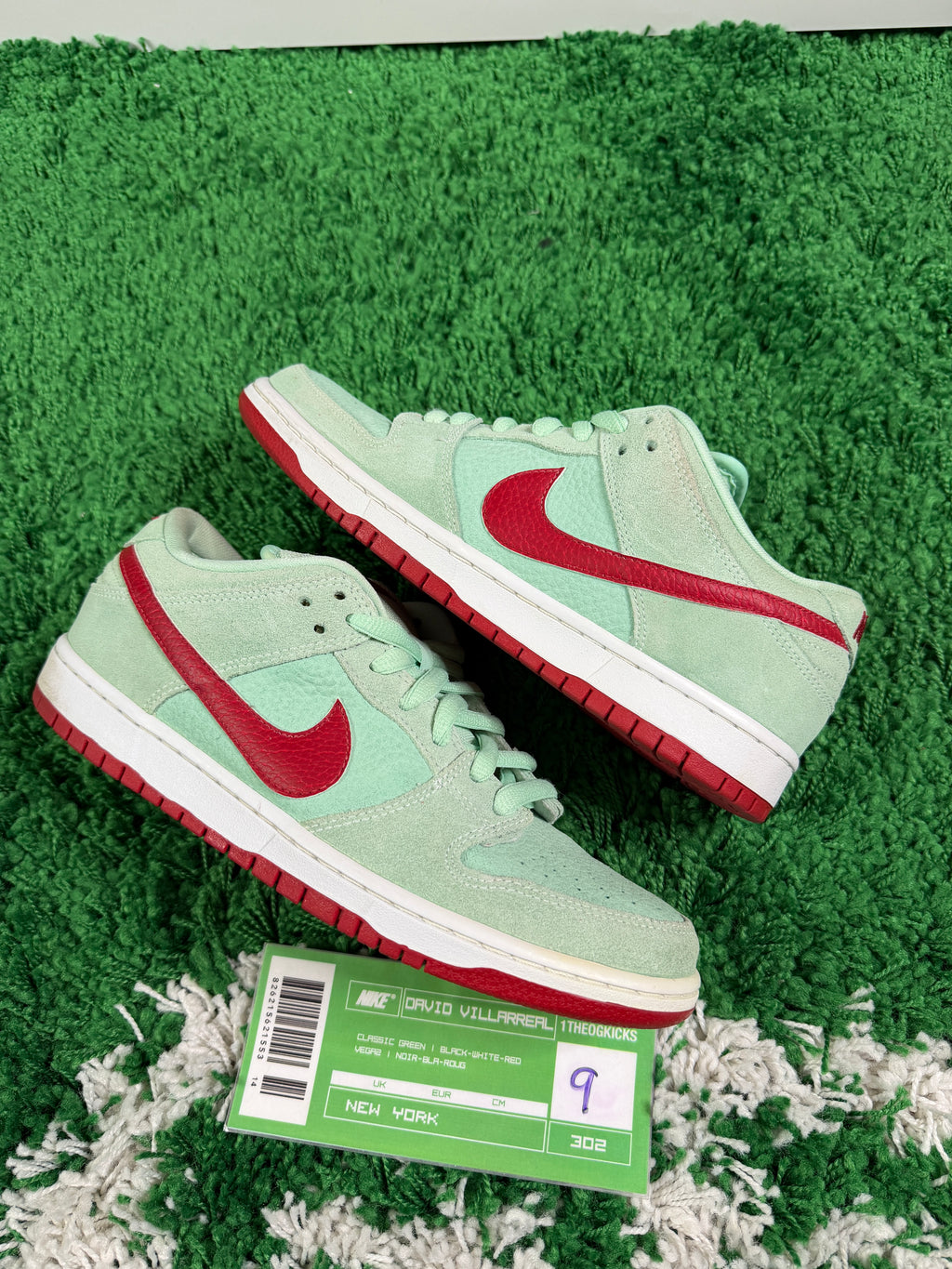 Nike Sb Green Mint Red - Size 9