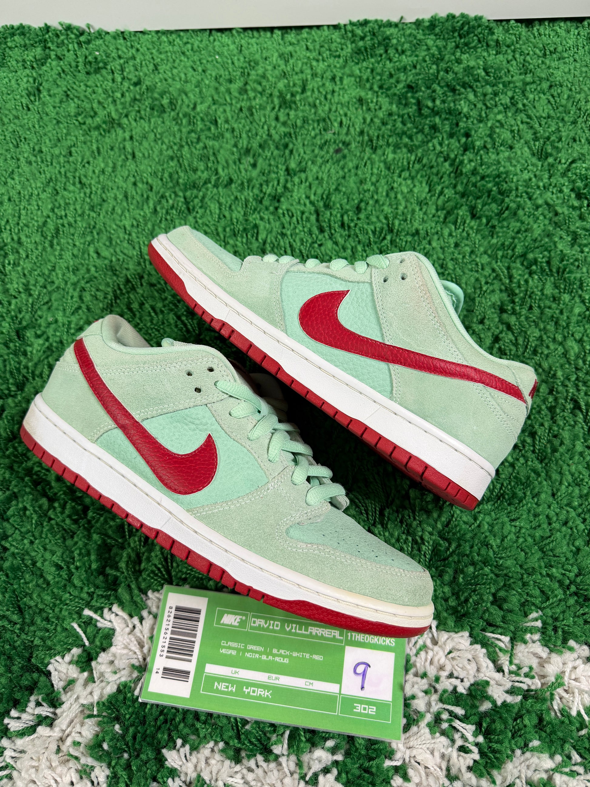 Nike Sb Green Mint Red - Size 9