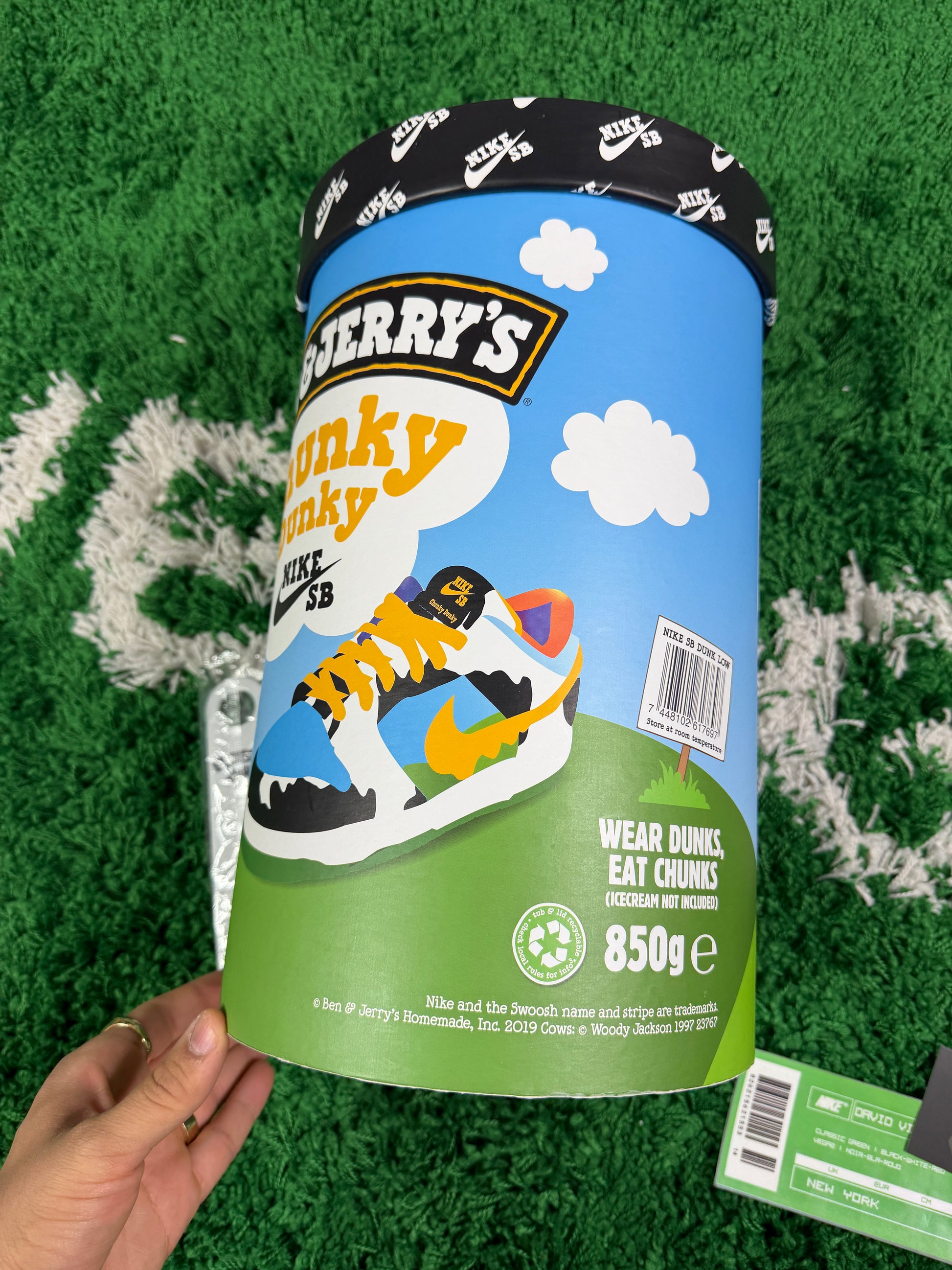 Nike Sb Chunky Dunky Special Box New - Size 9