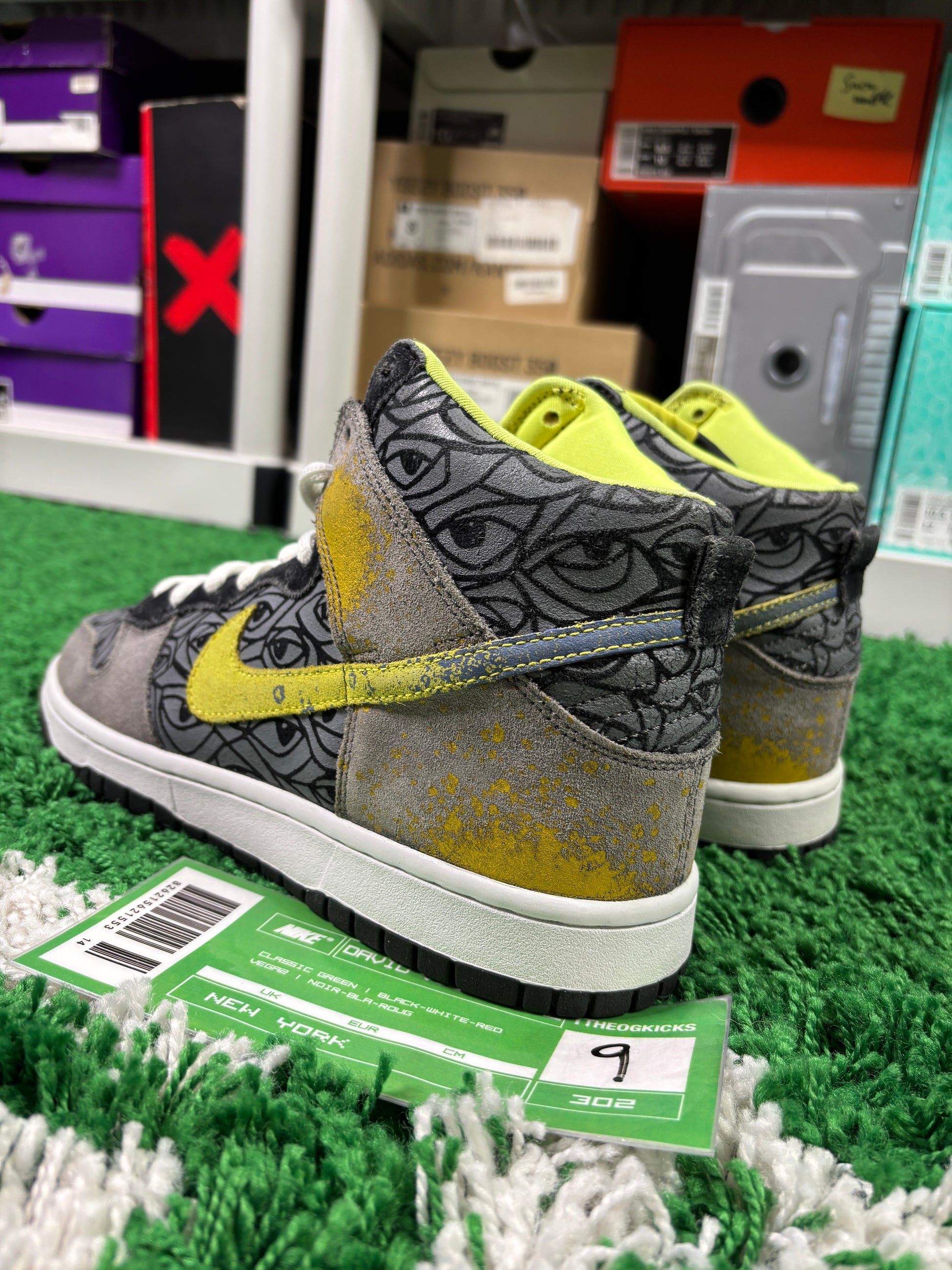 Nike Sb Ron Cameron Sample Set - Size 9