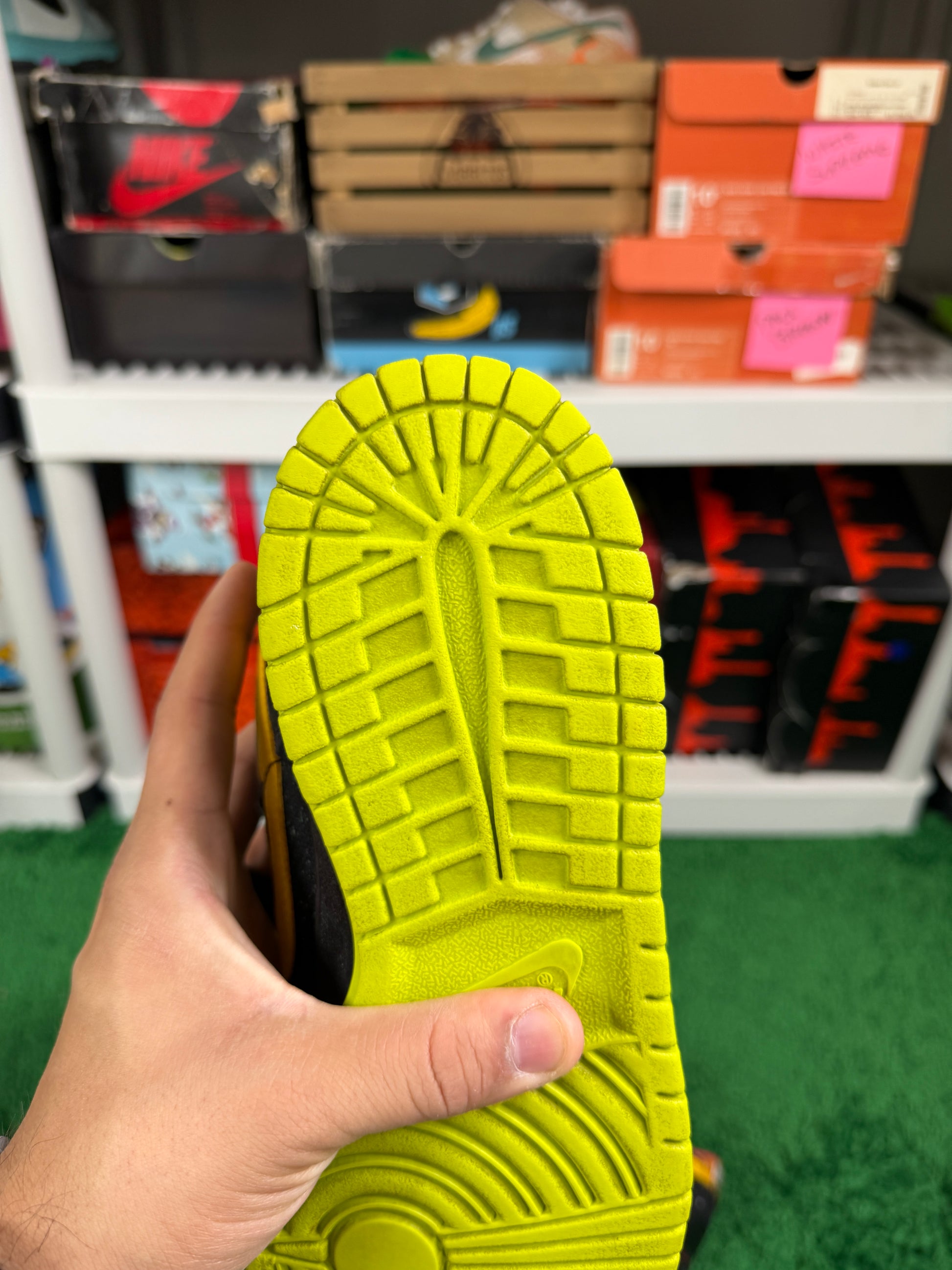 Nike Sb Space Tigers - Size 10.5