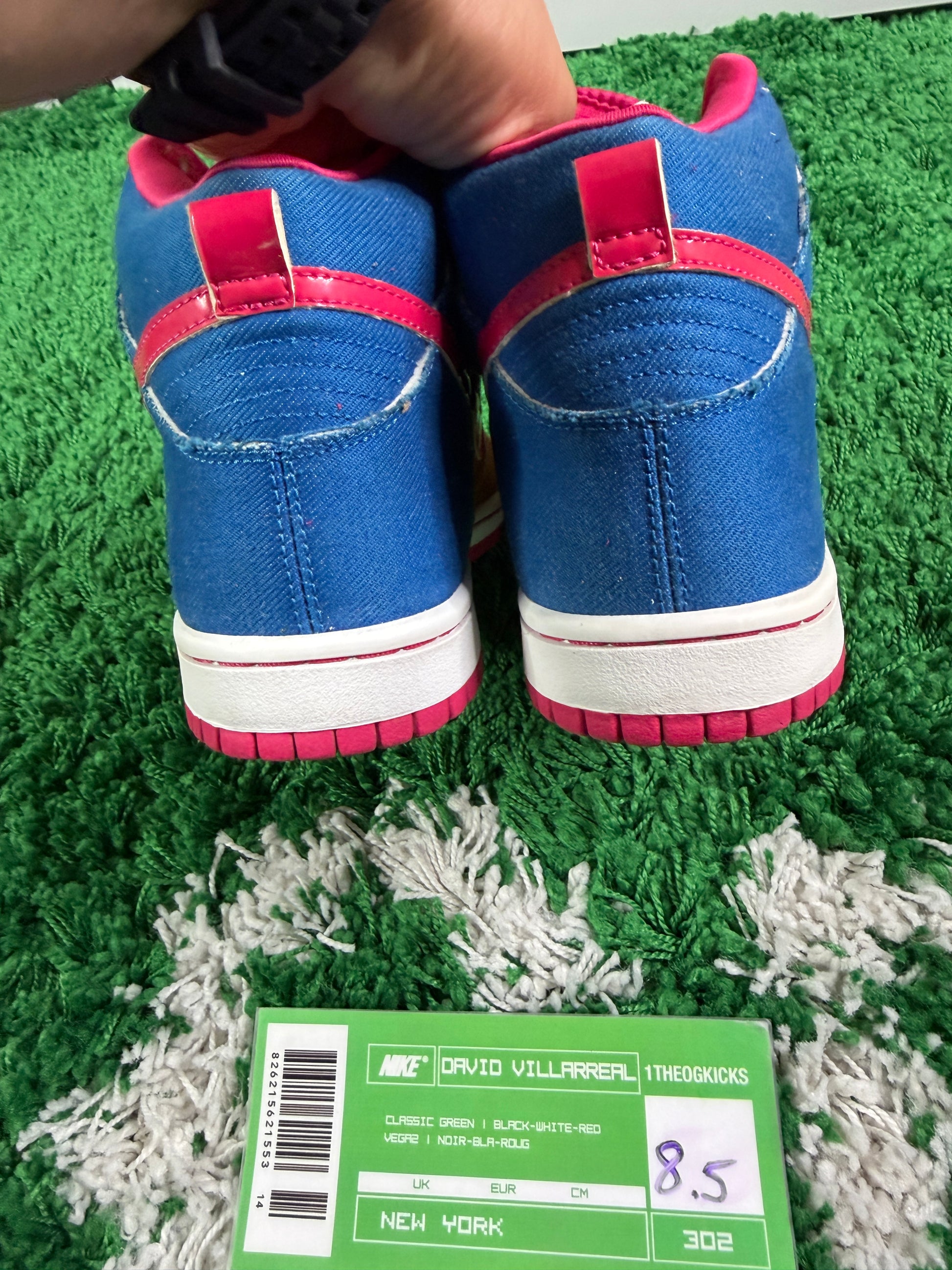 Nike Sb Todd Bratrud - Size 8.5