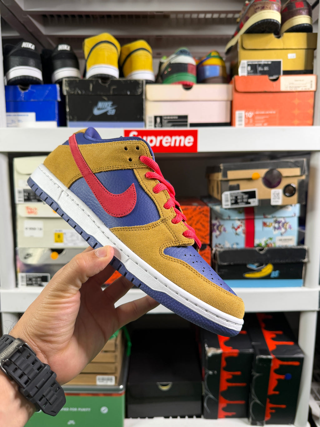 Nike Sb Reverse Papa Bear Lows - Size 11