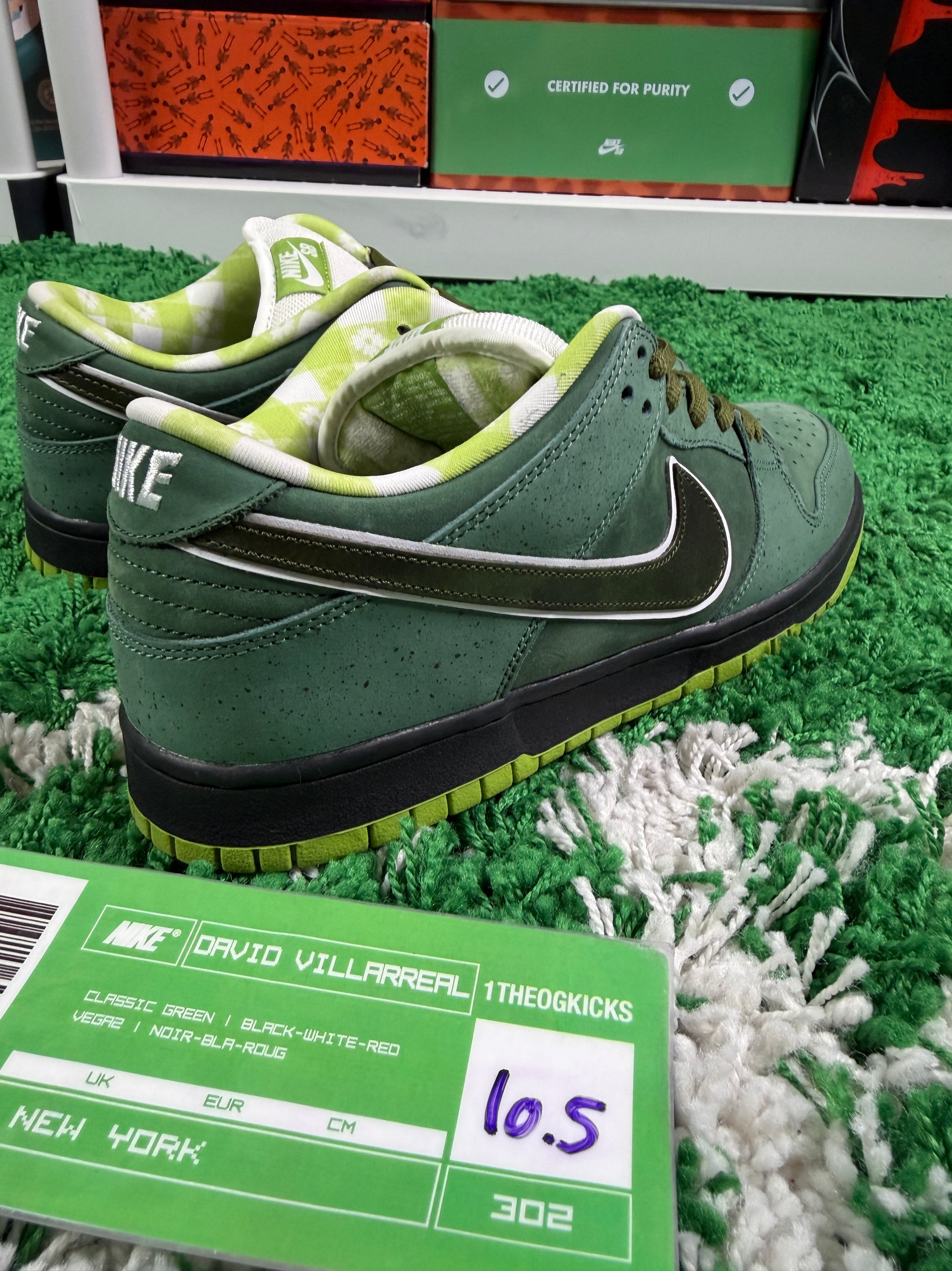 Nike Sb Green Lobsters Special Box - Size 10.5