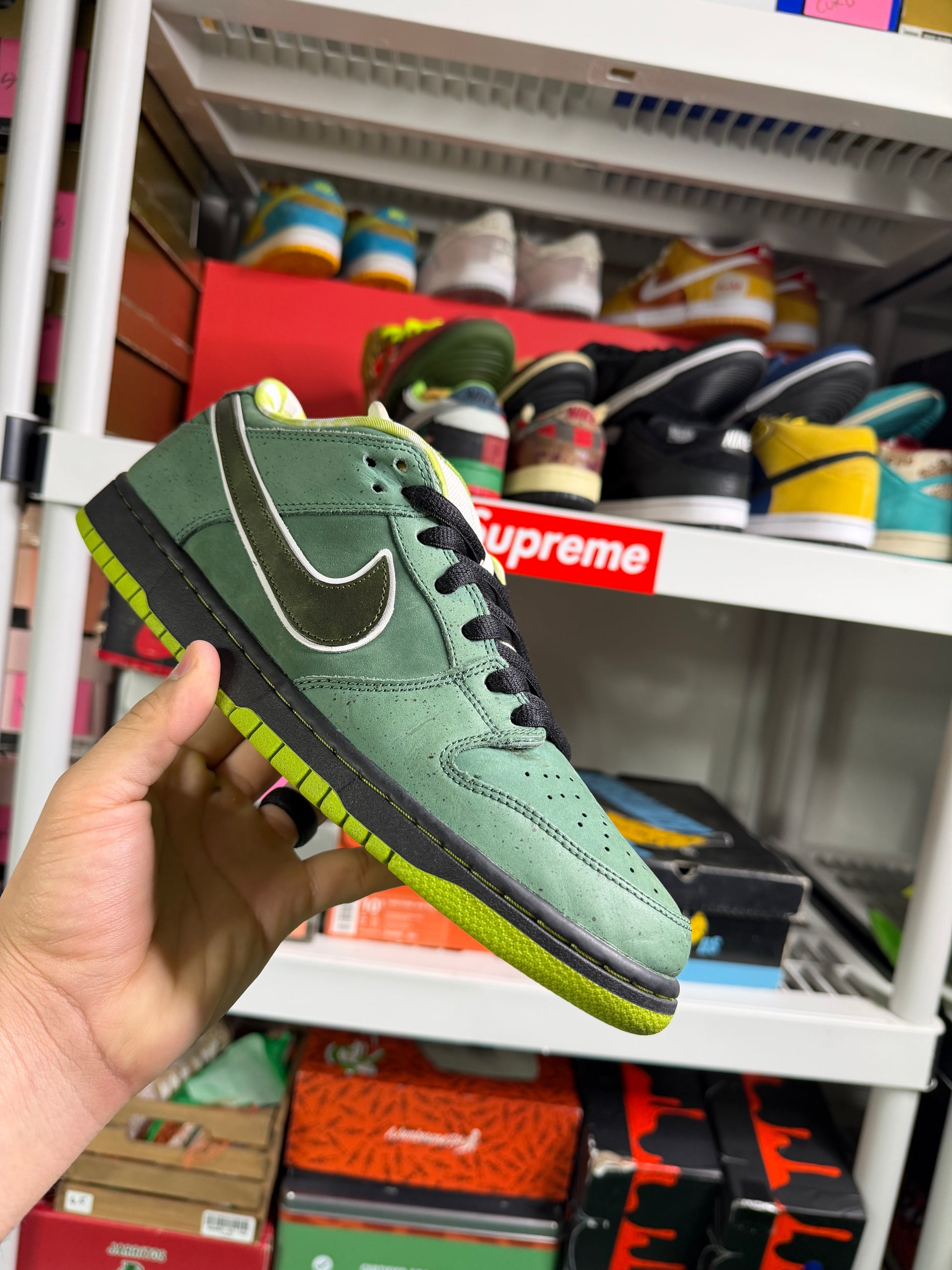 Nike Sb Green Lobsters - Size 11