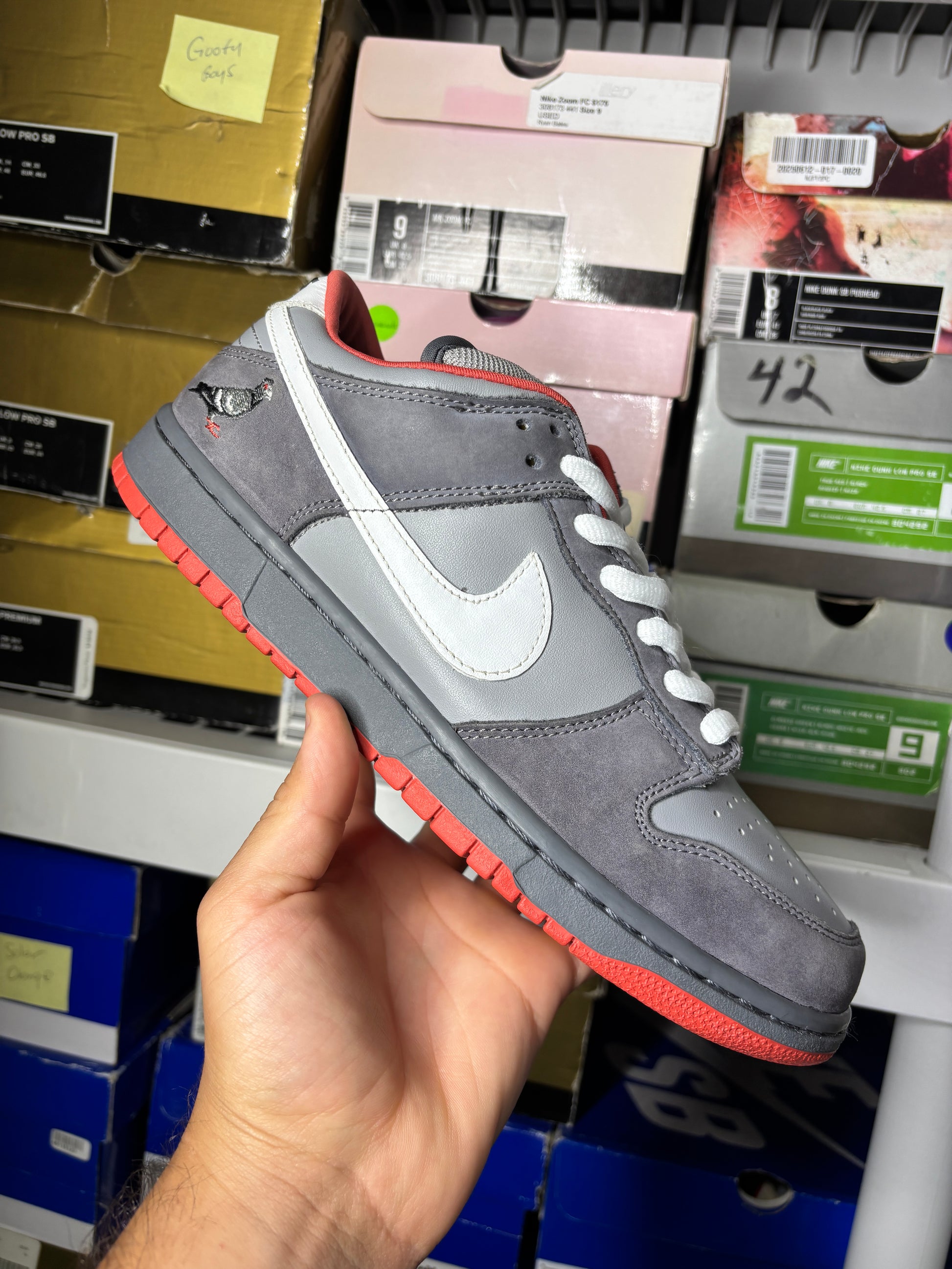 Nike Sb NYC Pigeon - Size 9