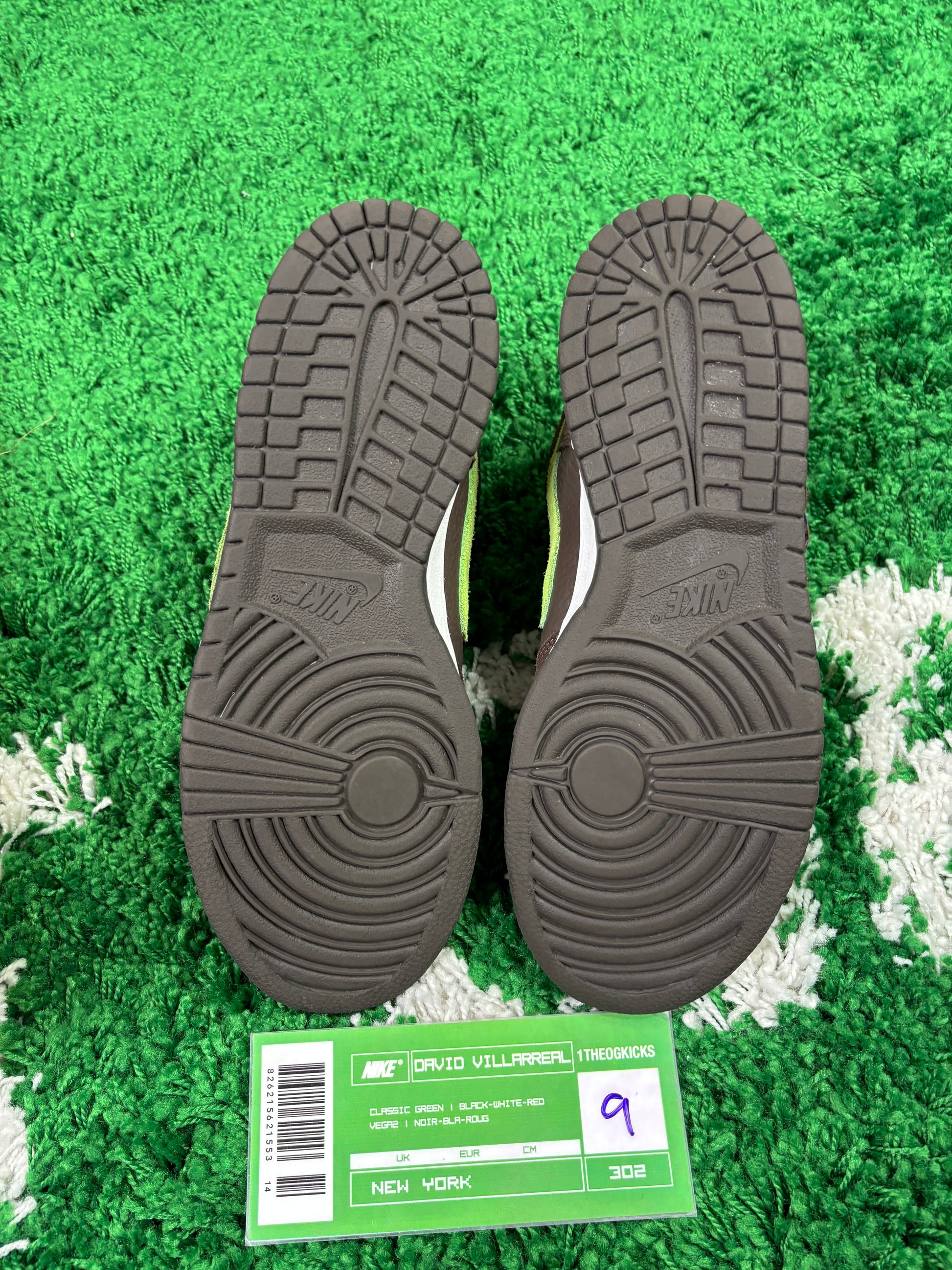 Nike Sb Donatello - Size 9